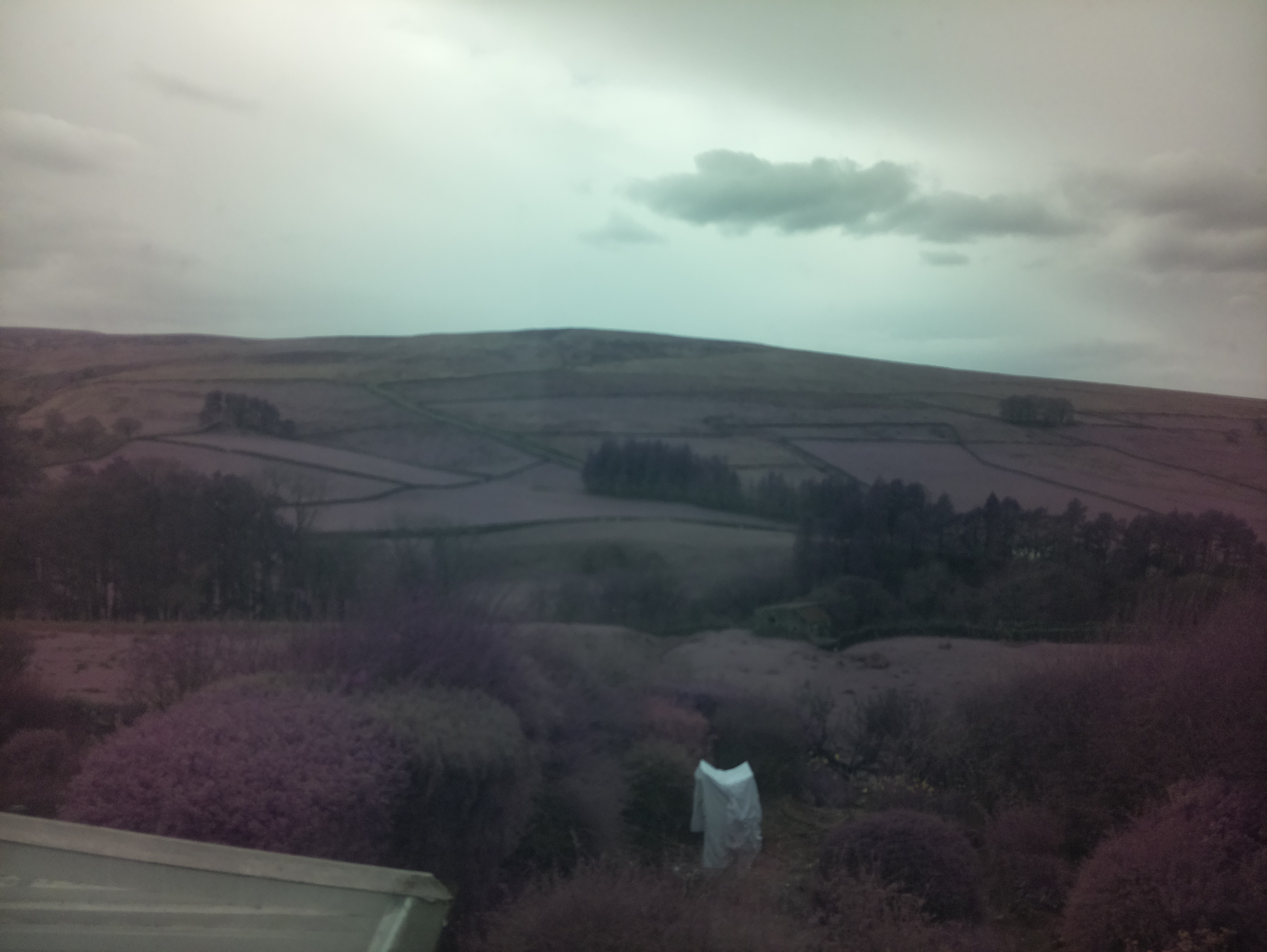 raspi webcam photo