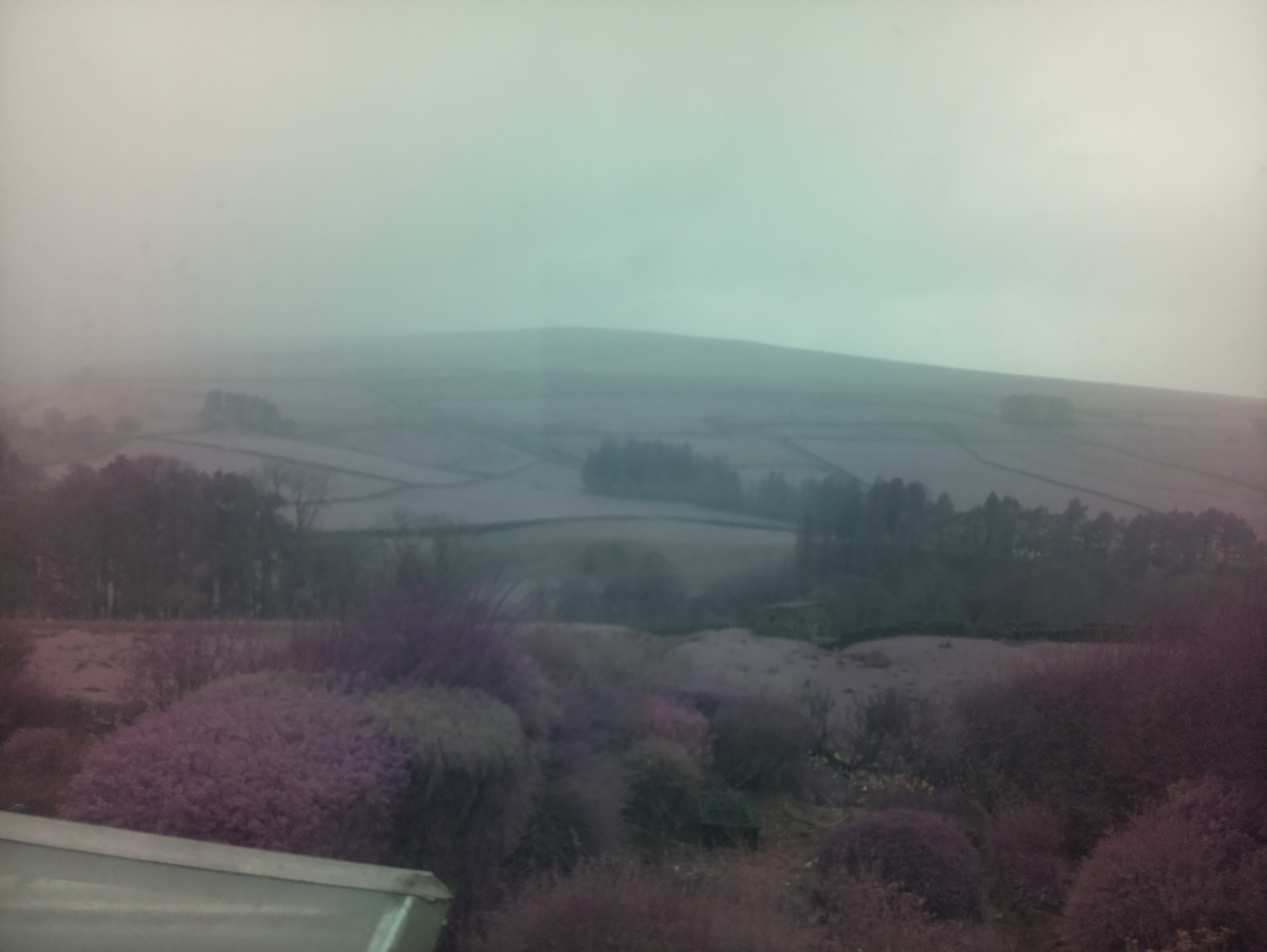 raspi webcam photo