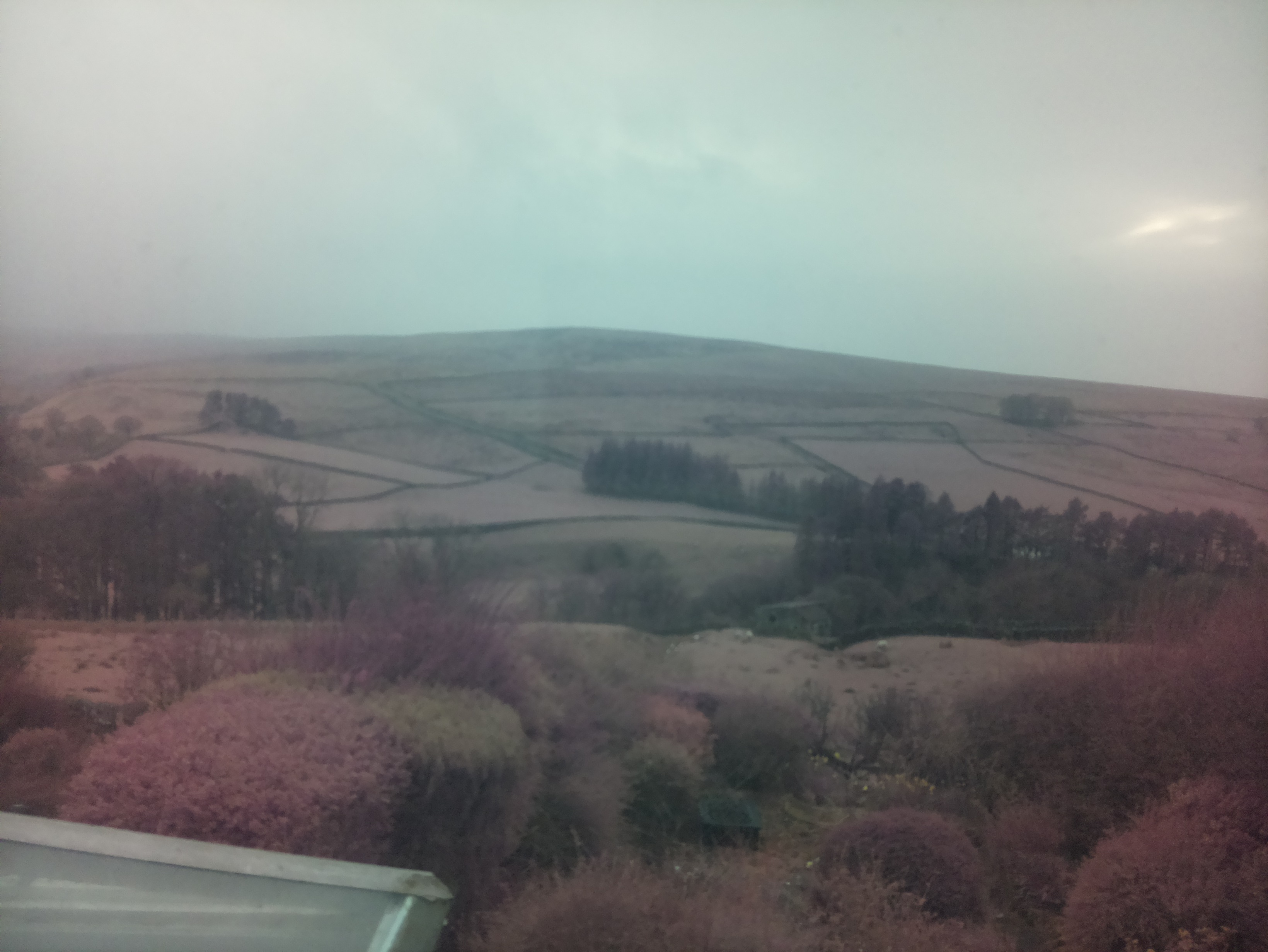 raspi webcam photo