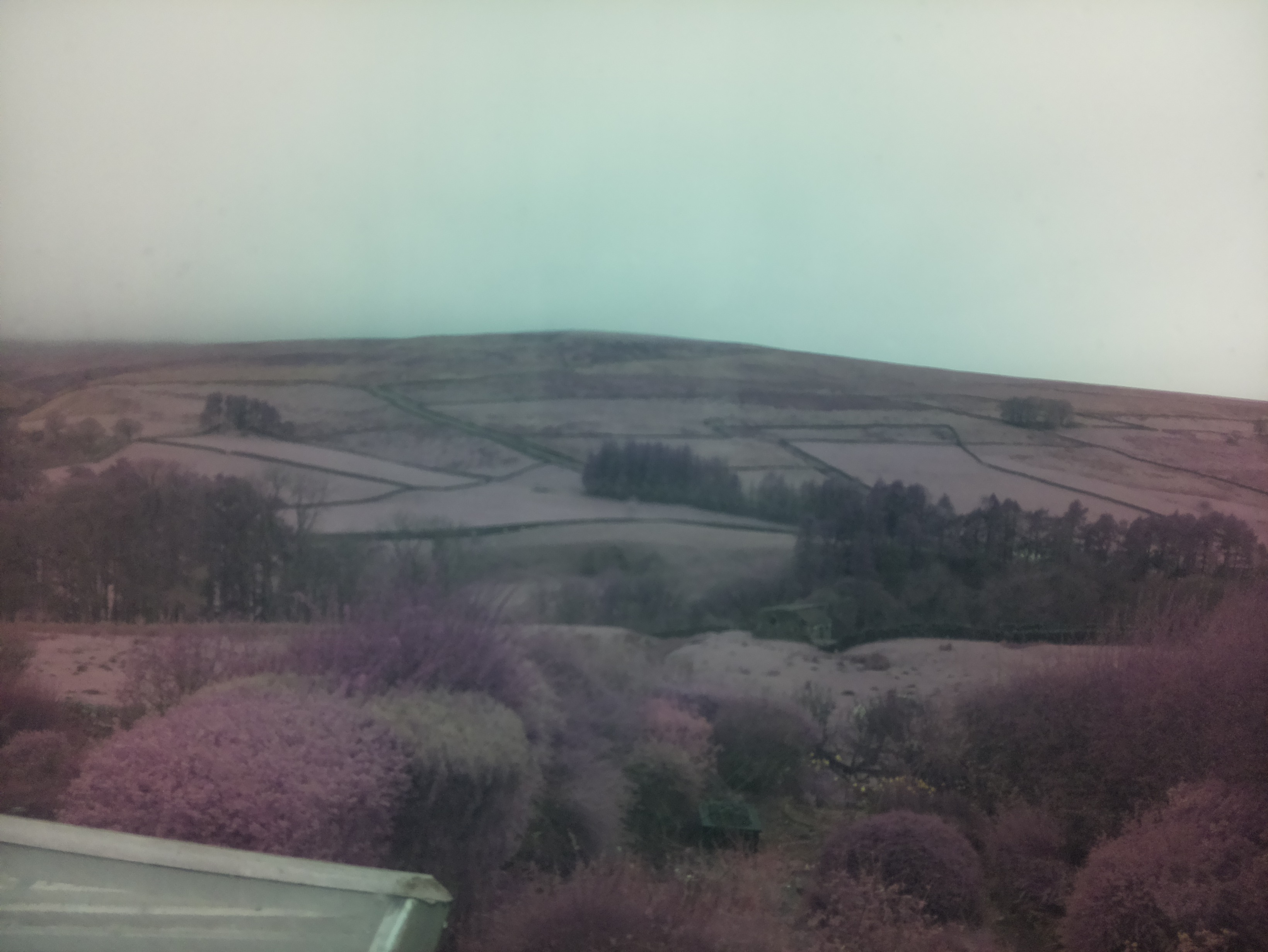 raspi webcam photo