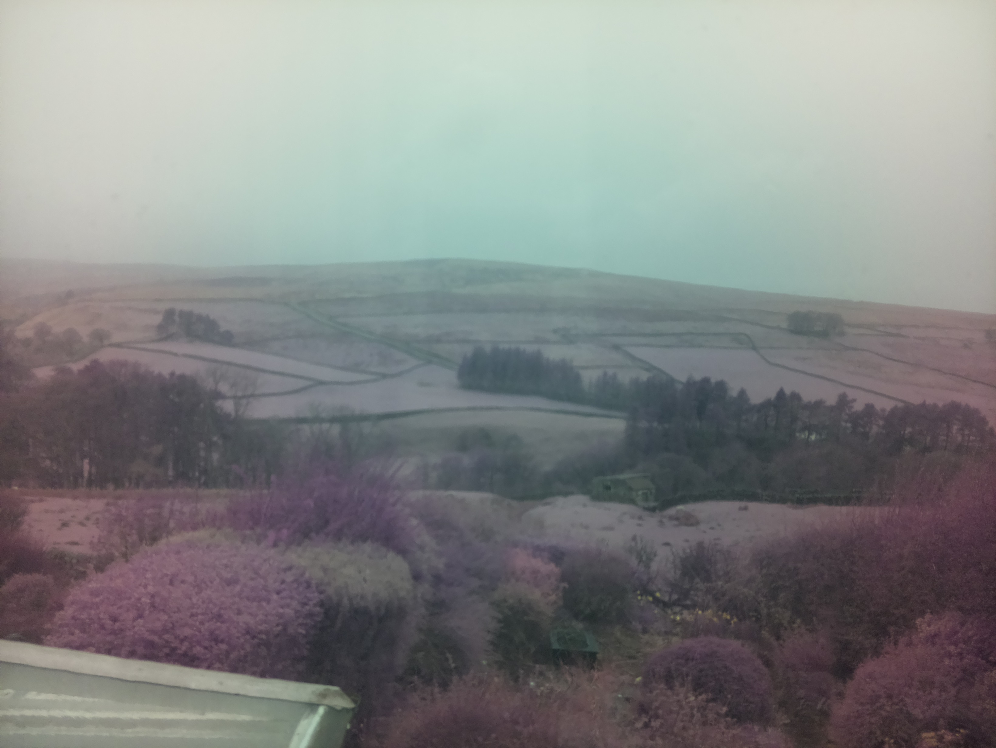 raspi webcam photo