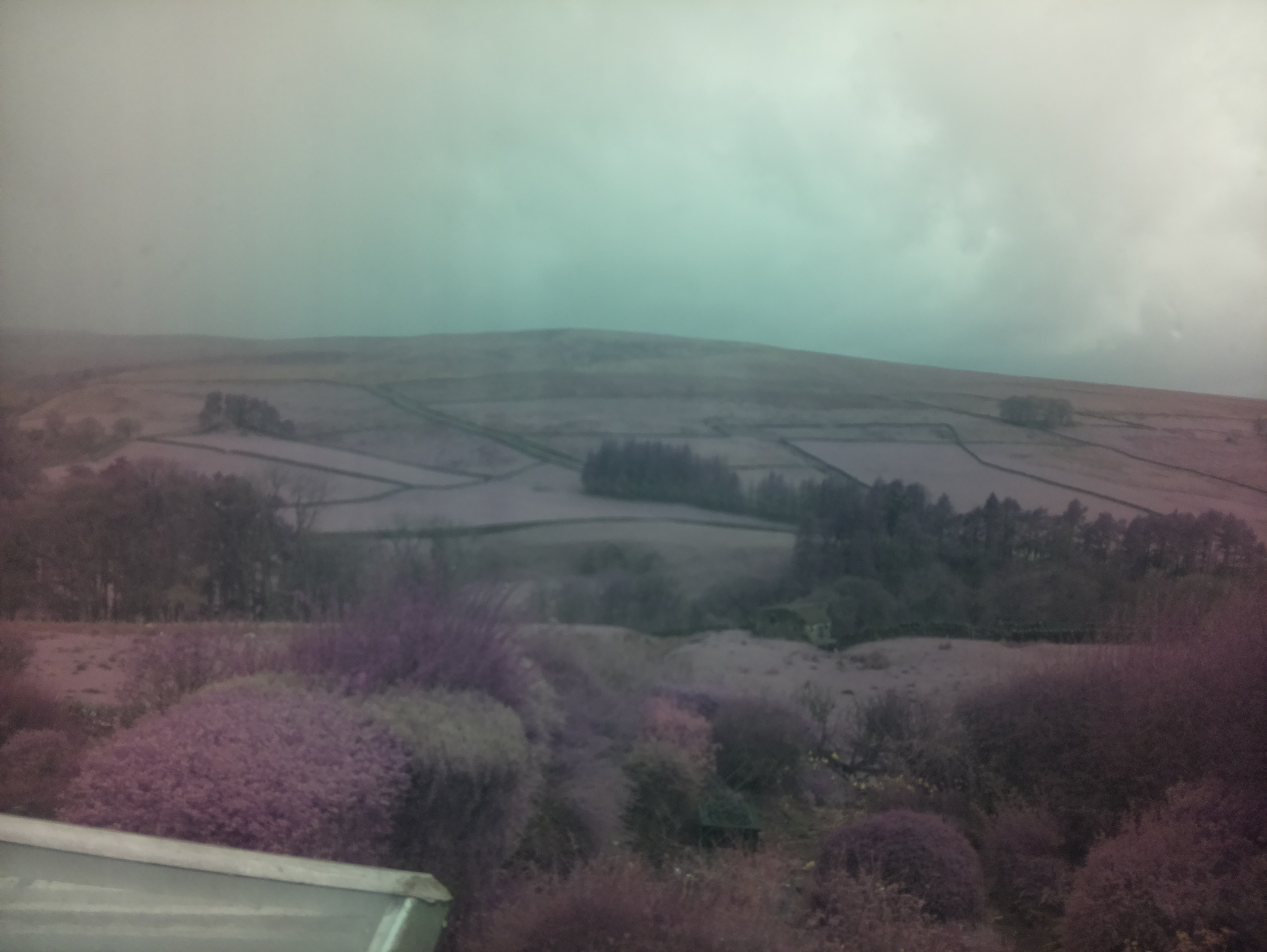raspi webcam photo