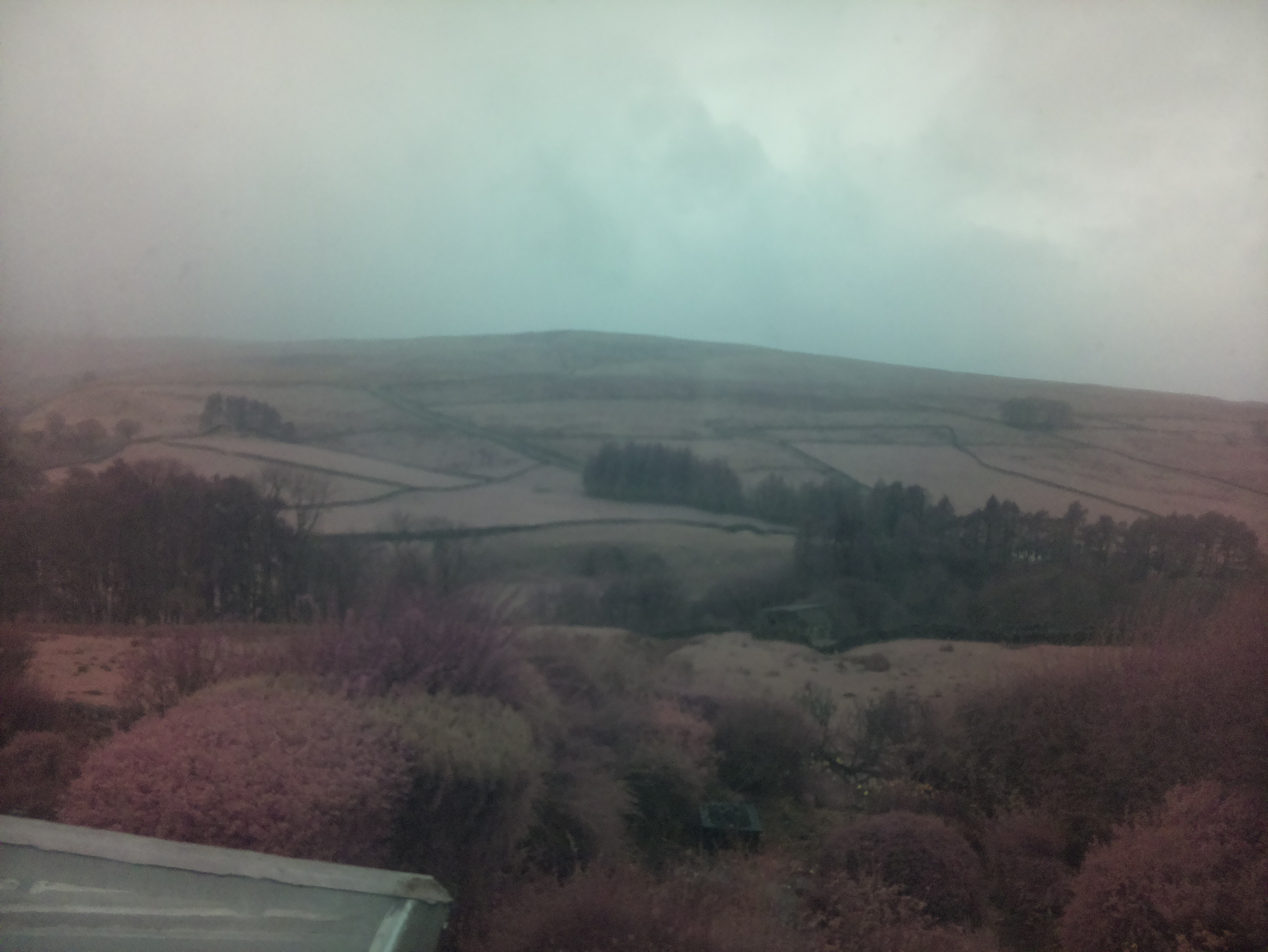 raspi webcam photo