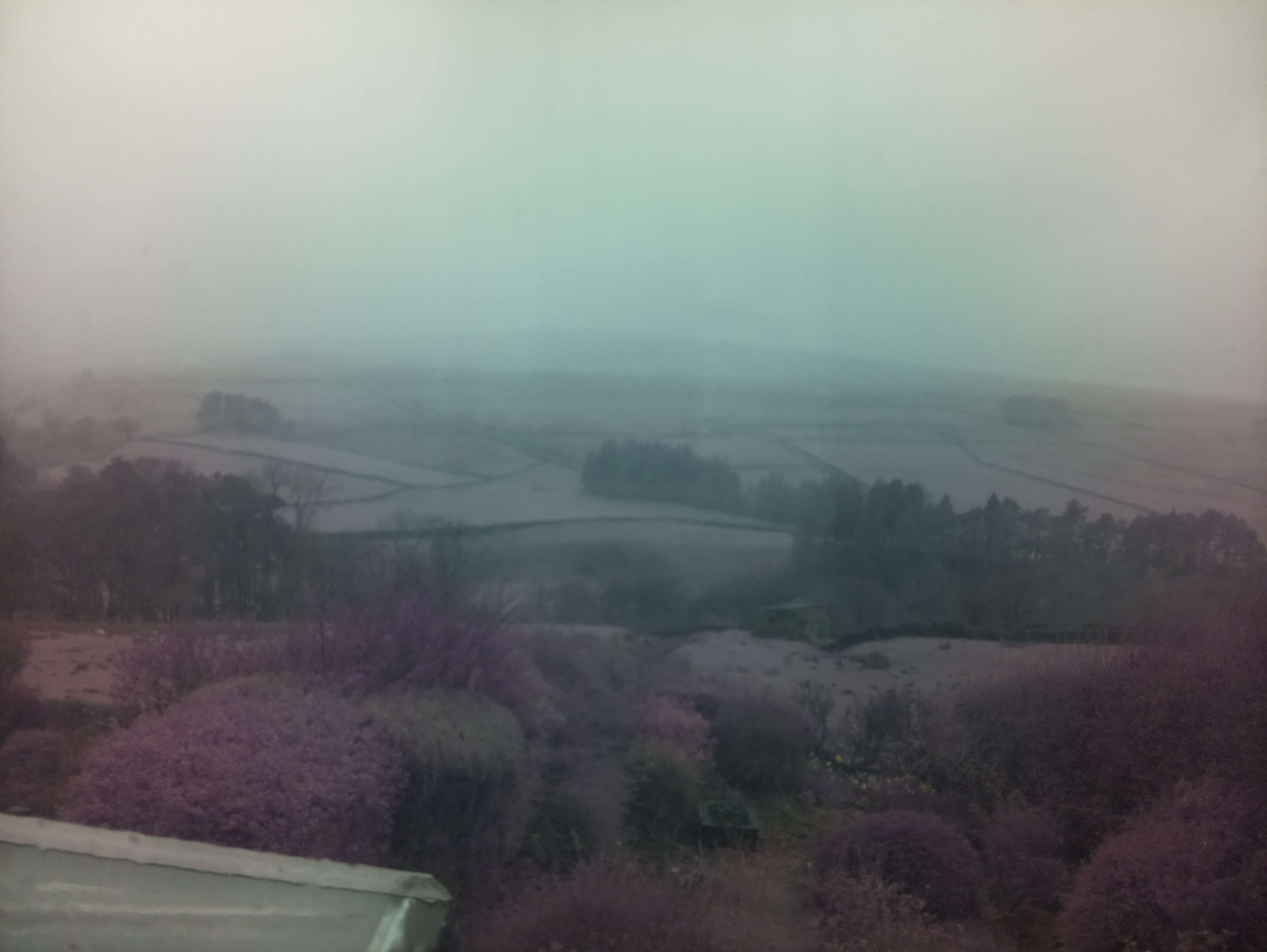 raspi webcam photo