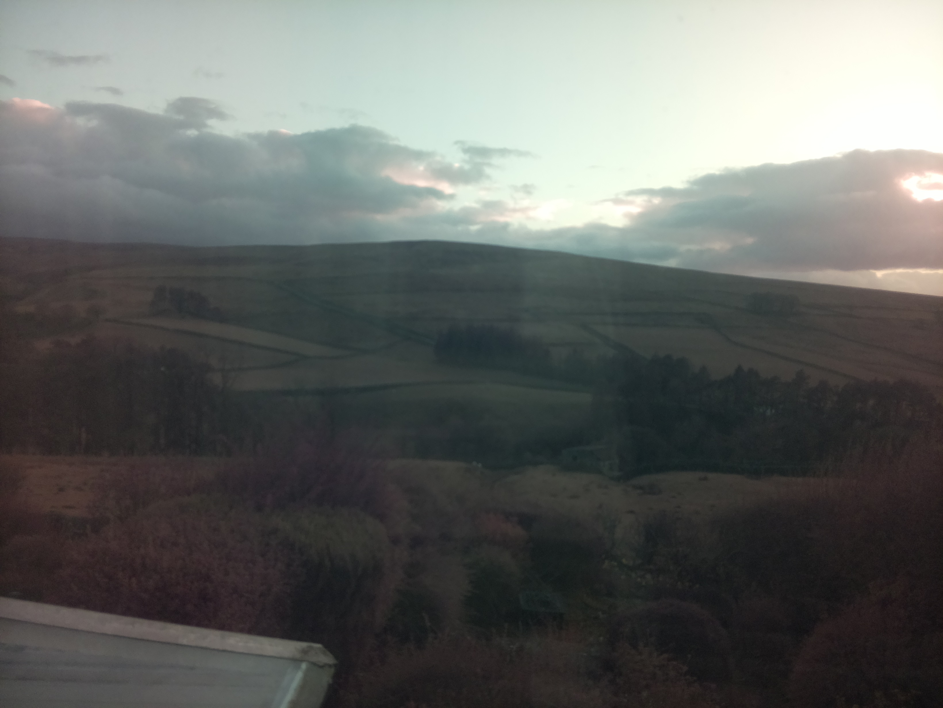 raspi webcam photo