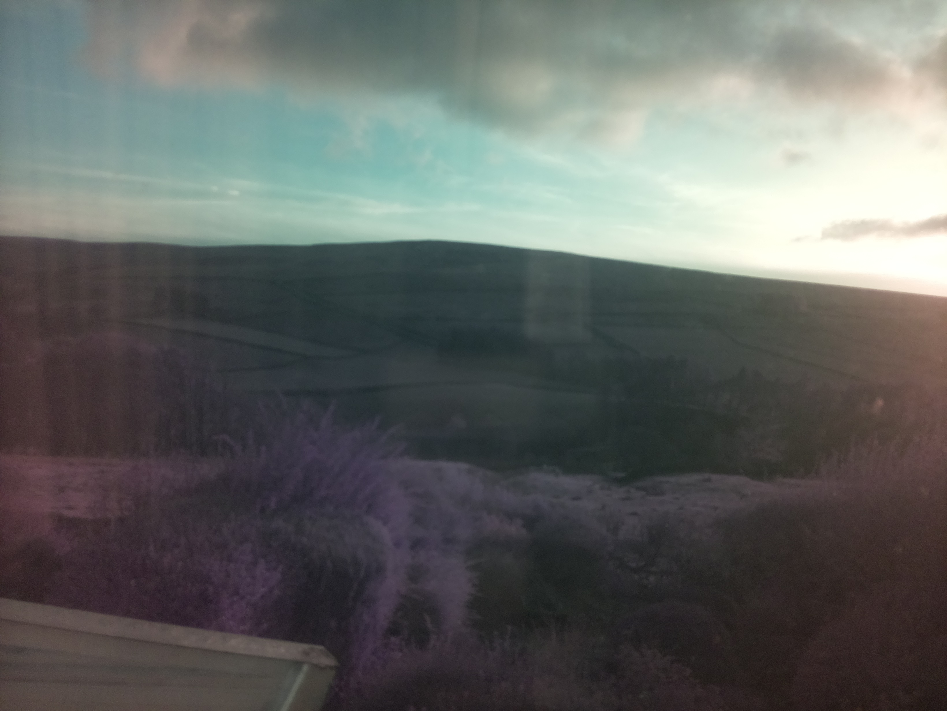 raspi webcam photo