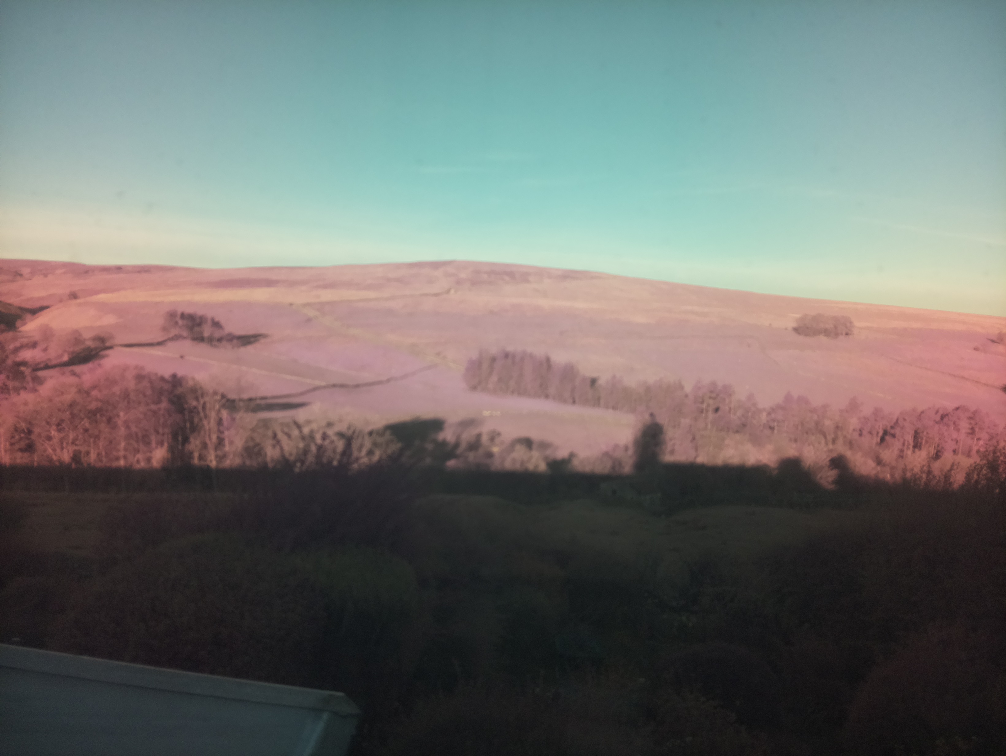 raspi webcam photo