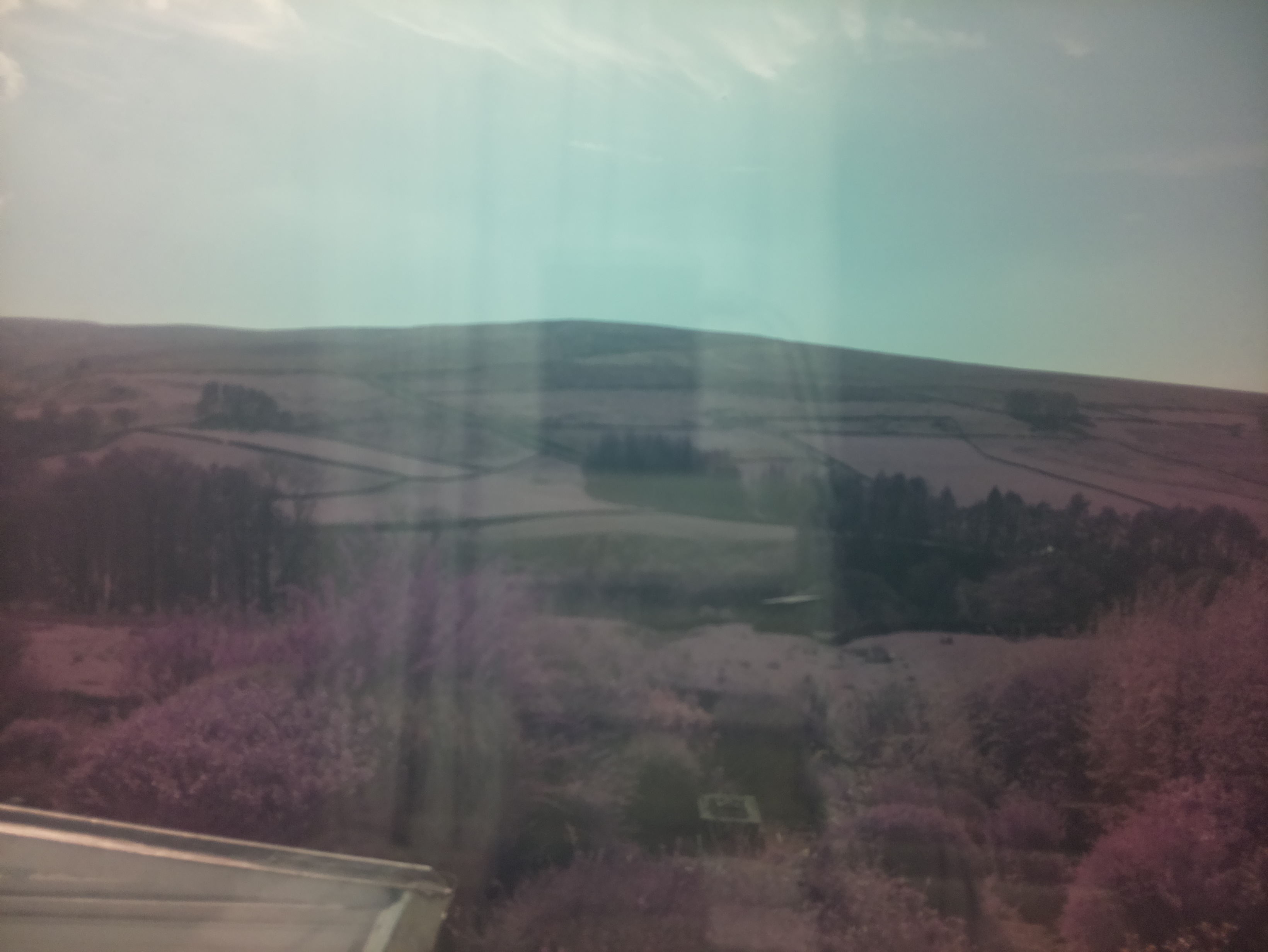 raspi webcam photo