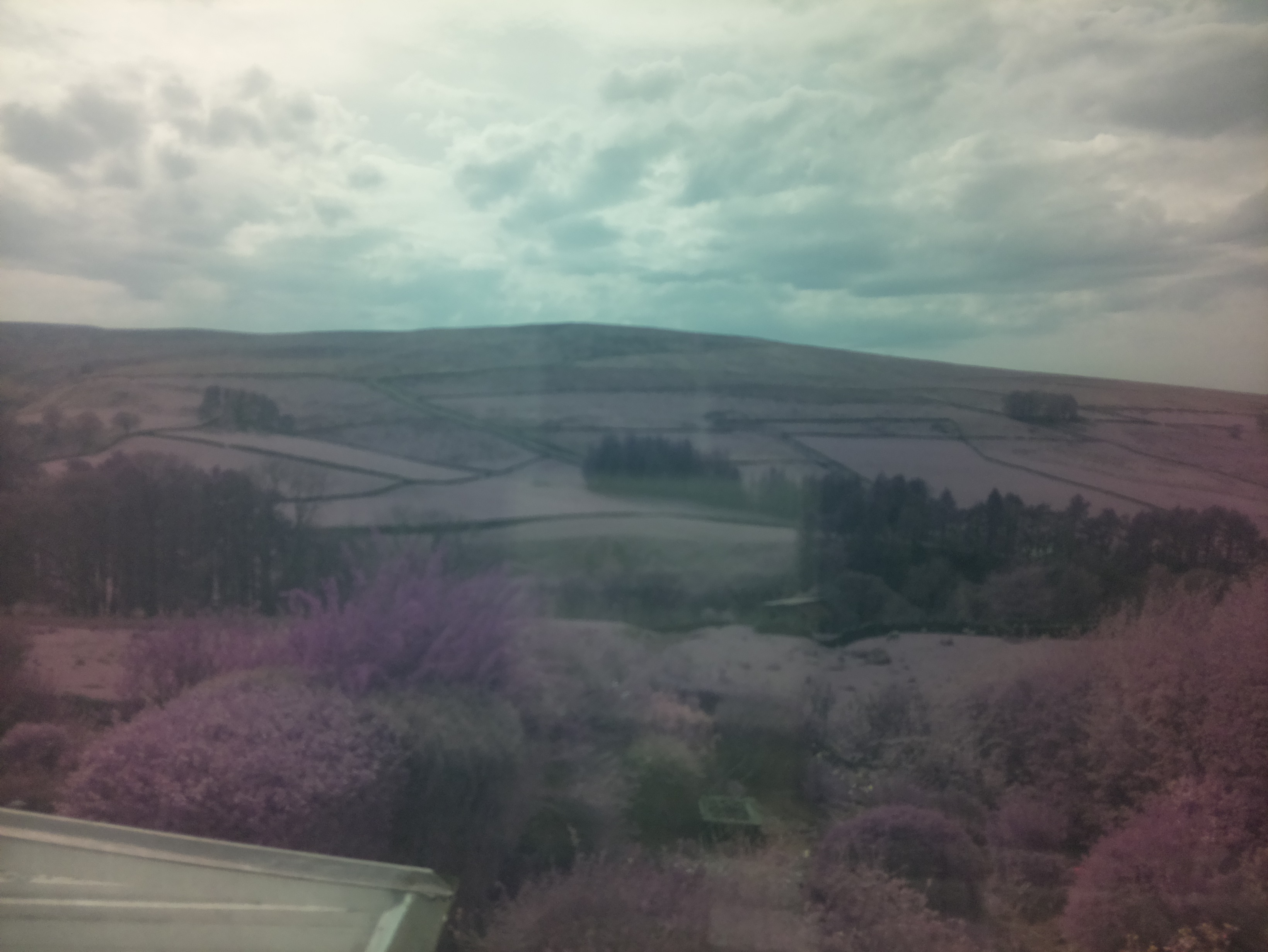 raspi webcam photo