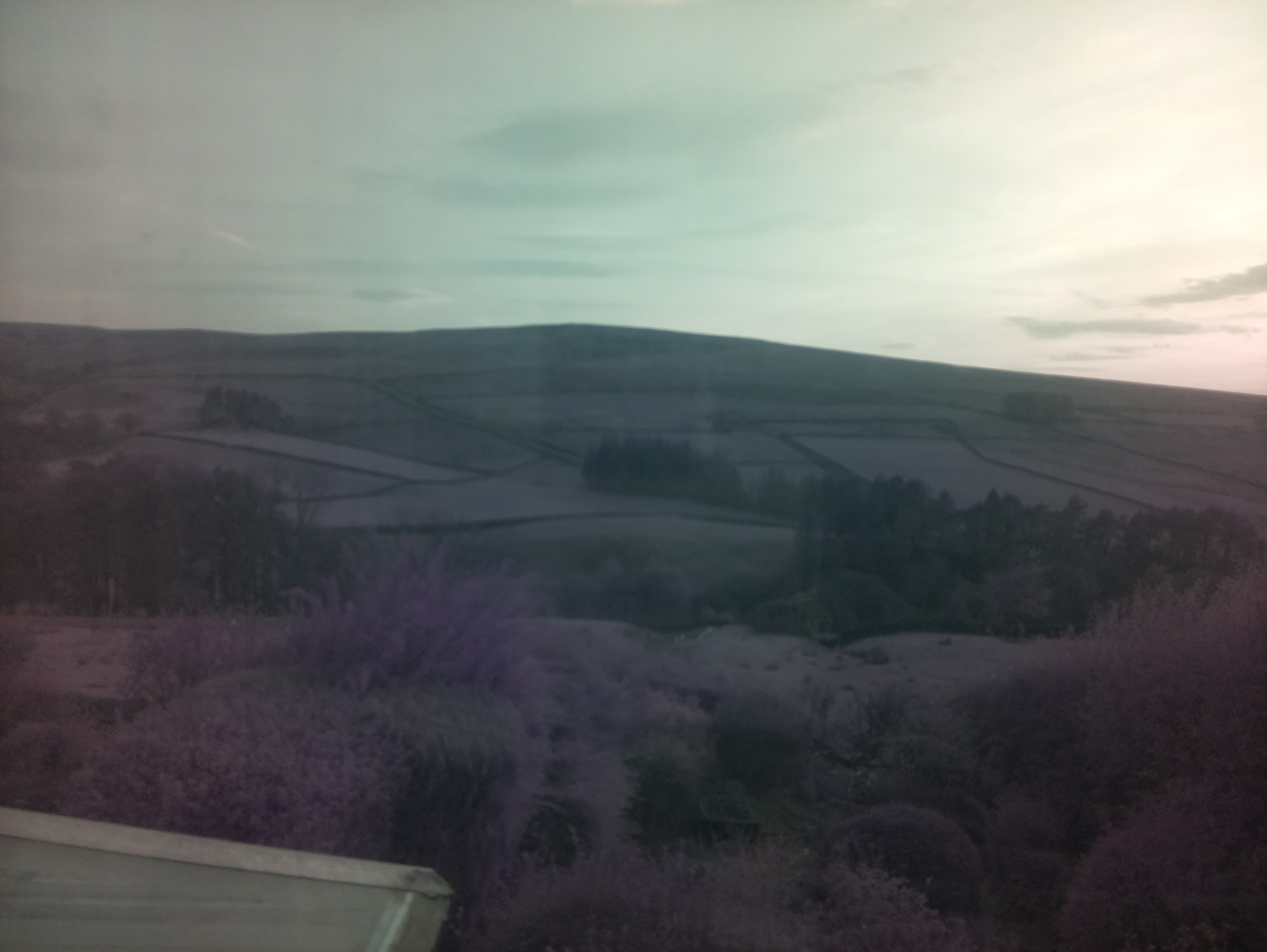 raspi webcam photo