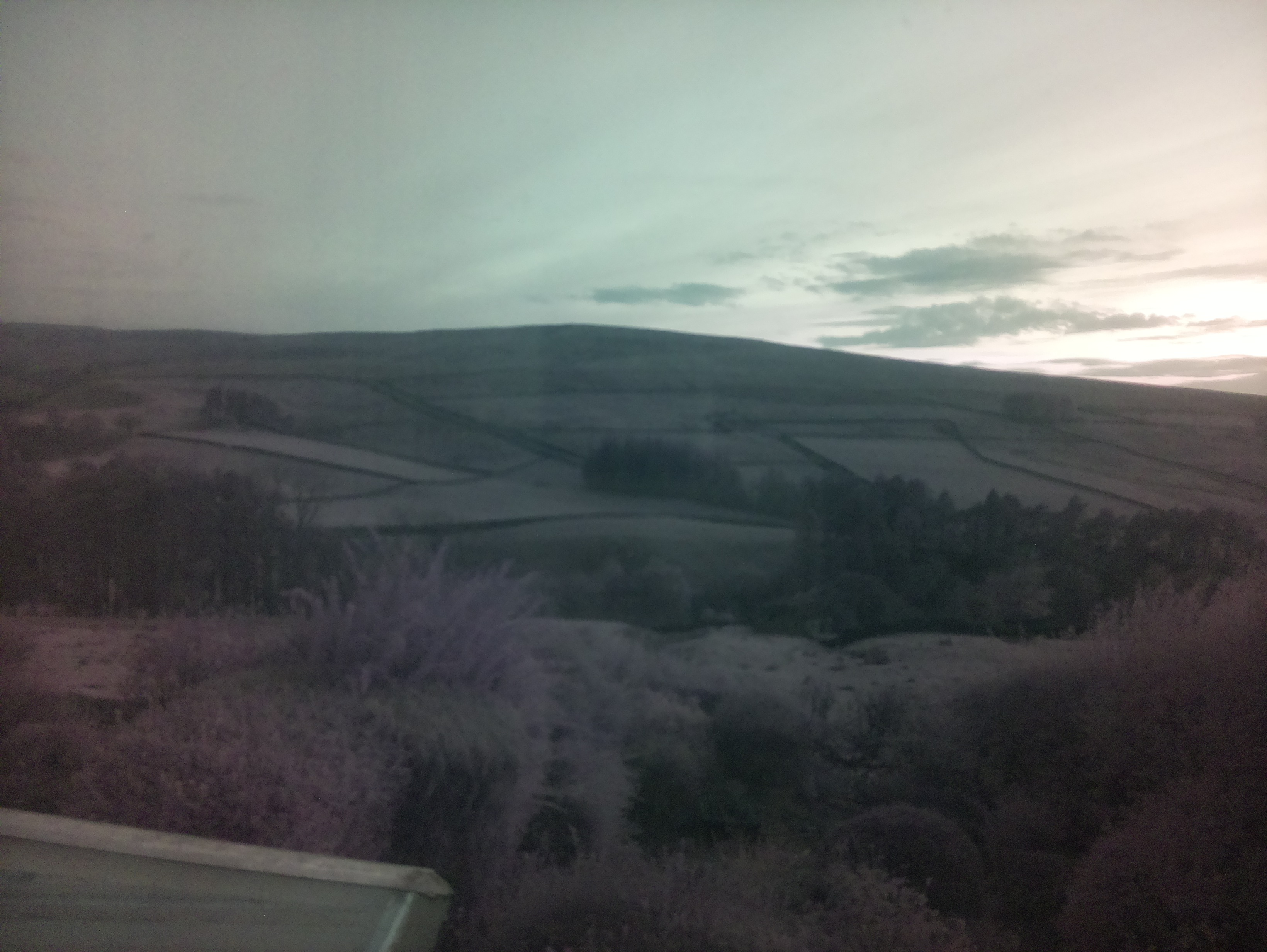 raspi webcam photo