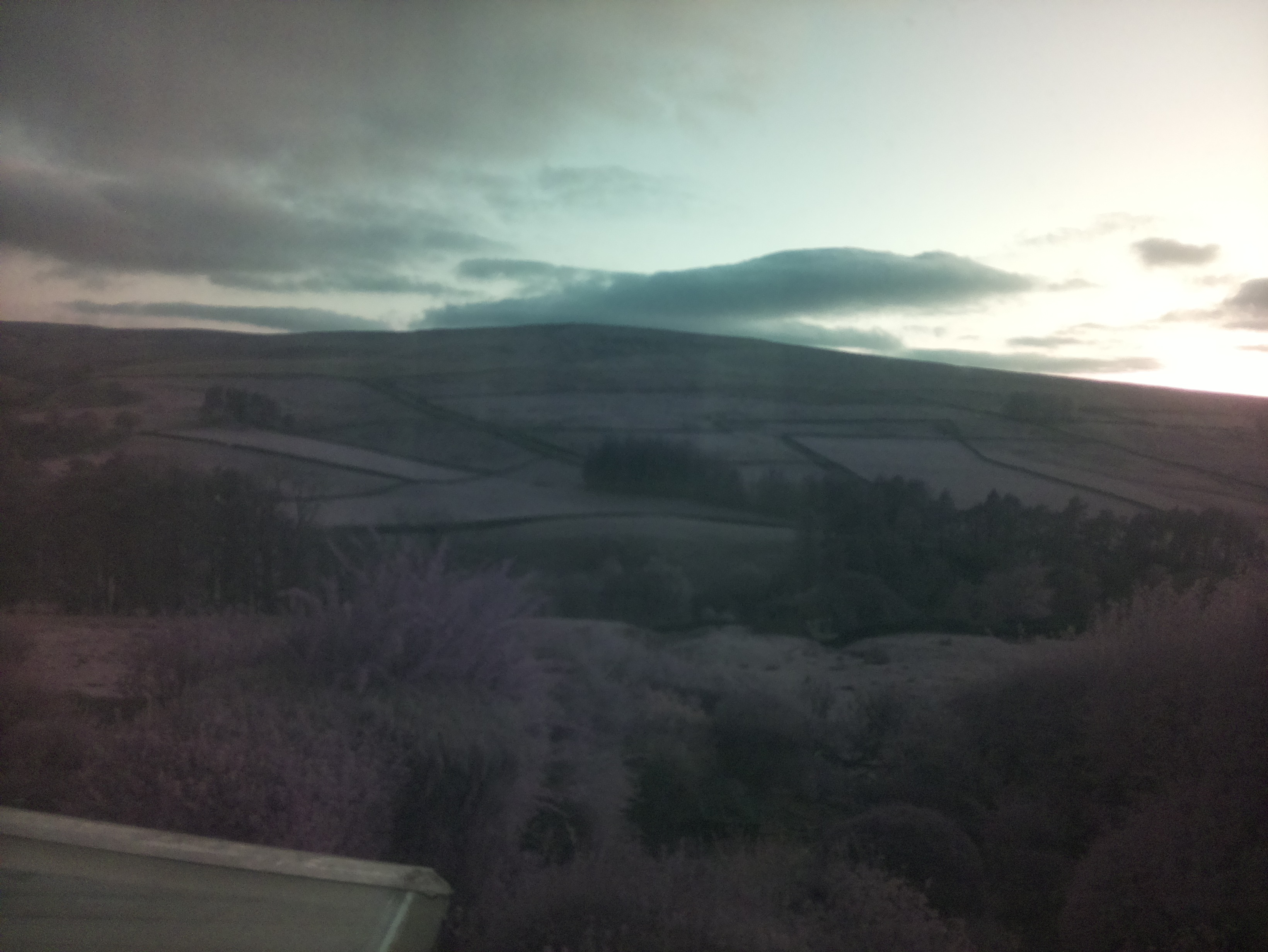 raspi webcam photo