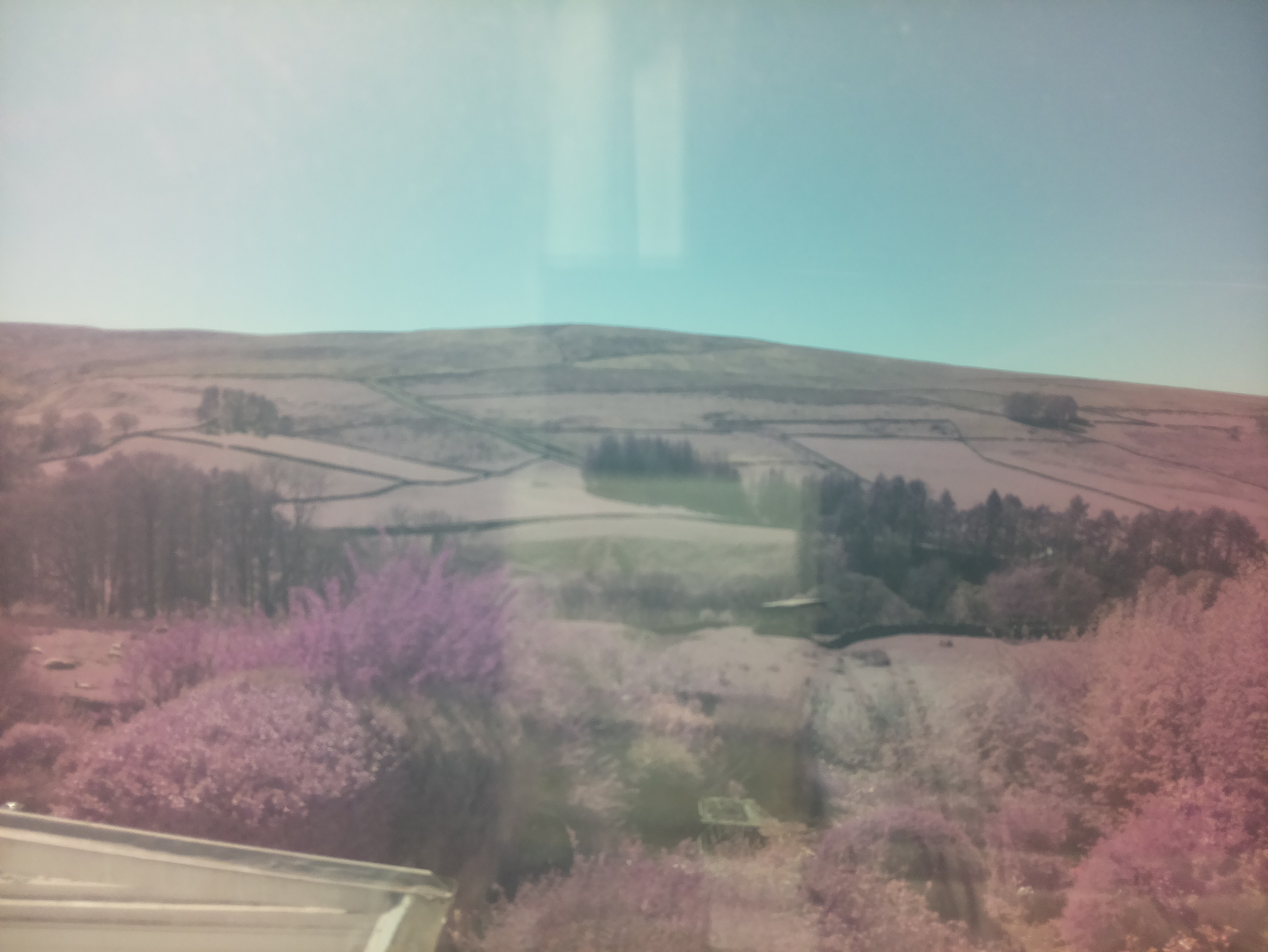 raspi webcam photo