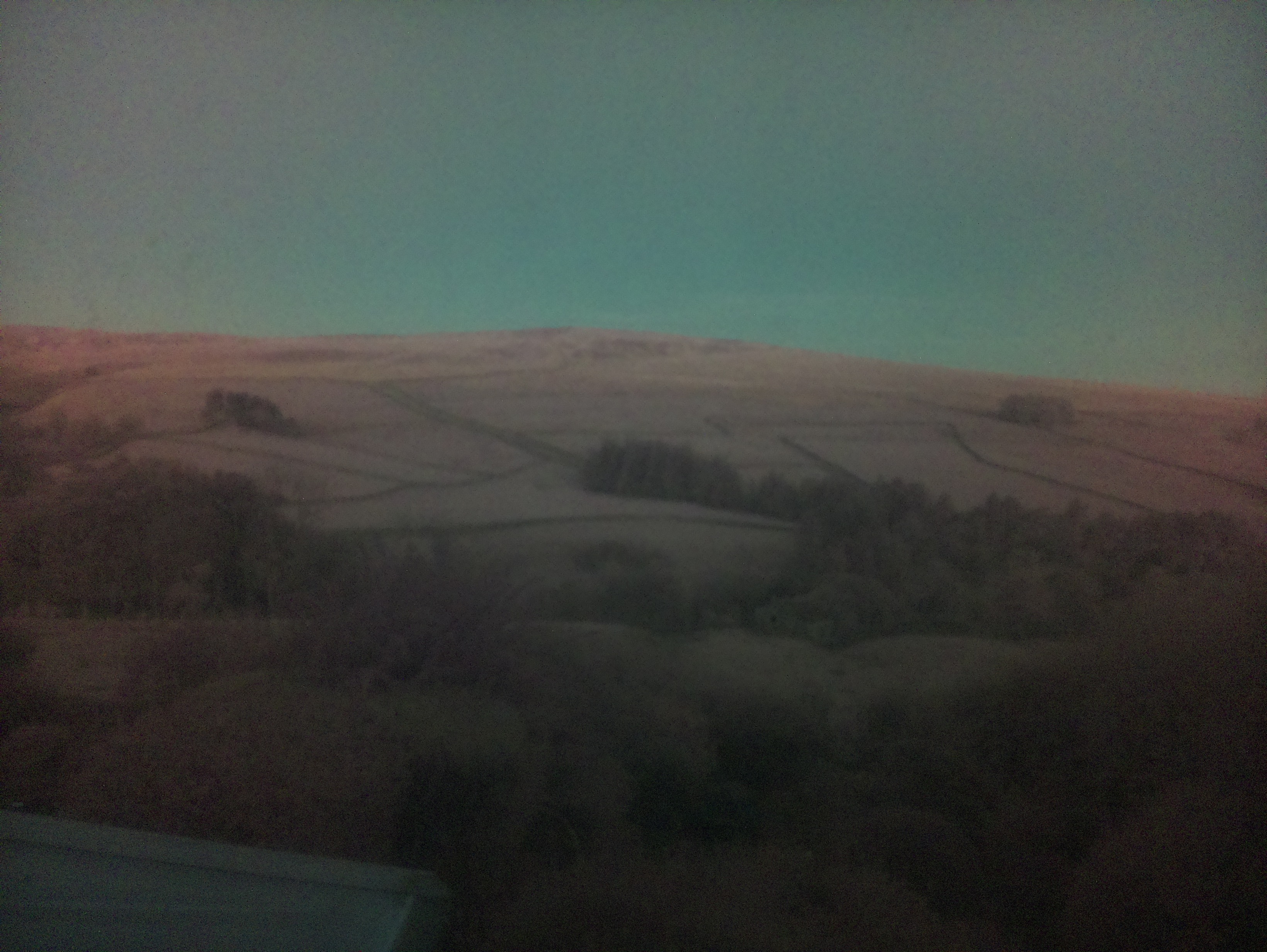 raspi webcam photo