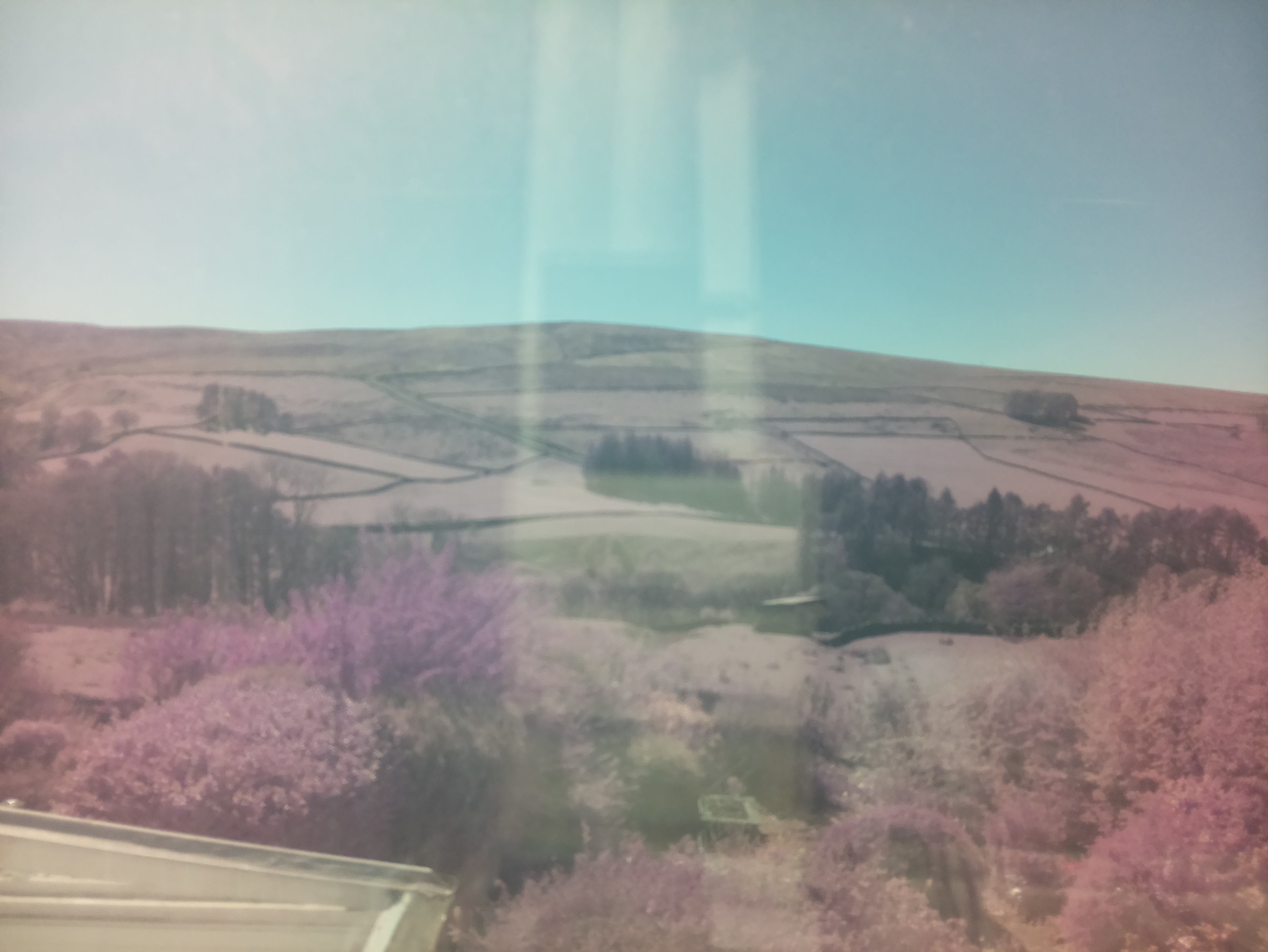 raspi webcam photo
