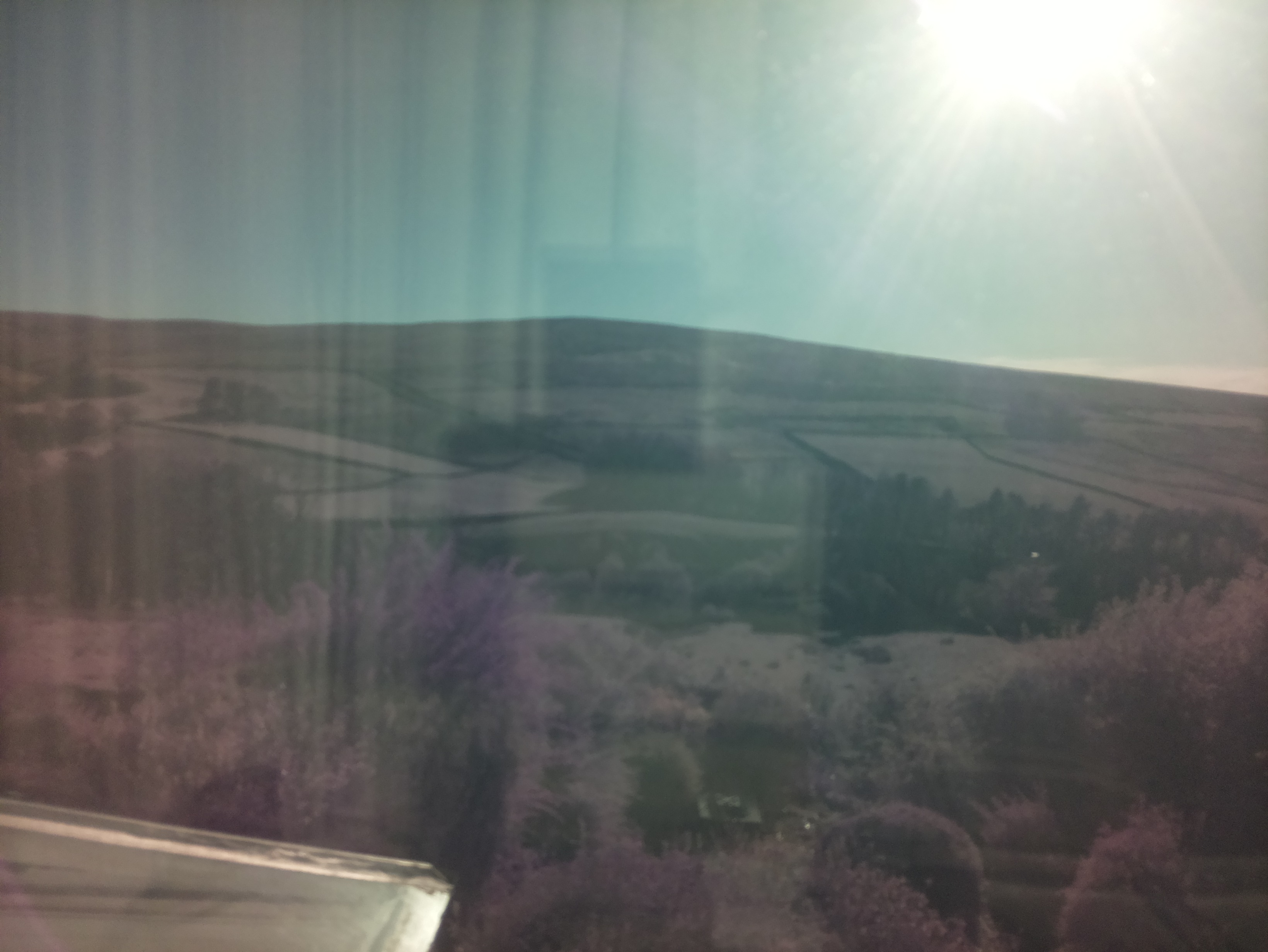raspi webcam photo