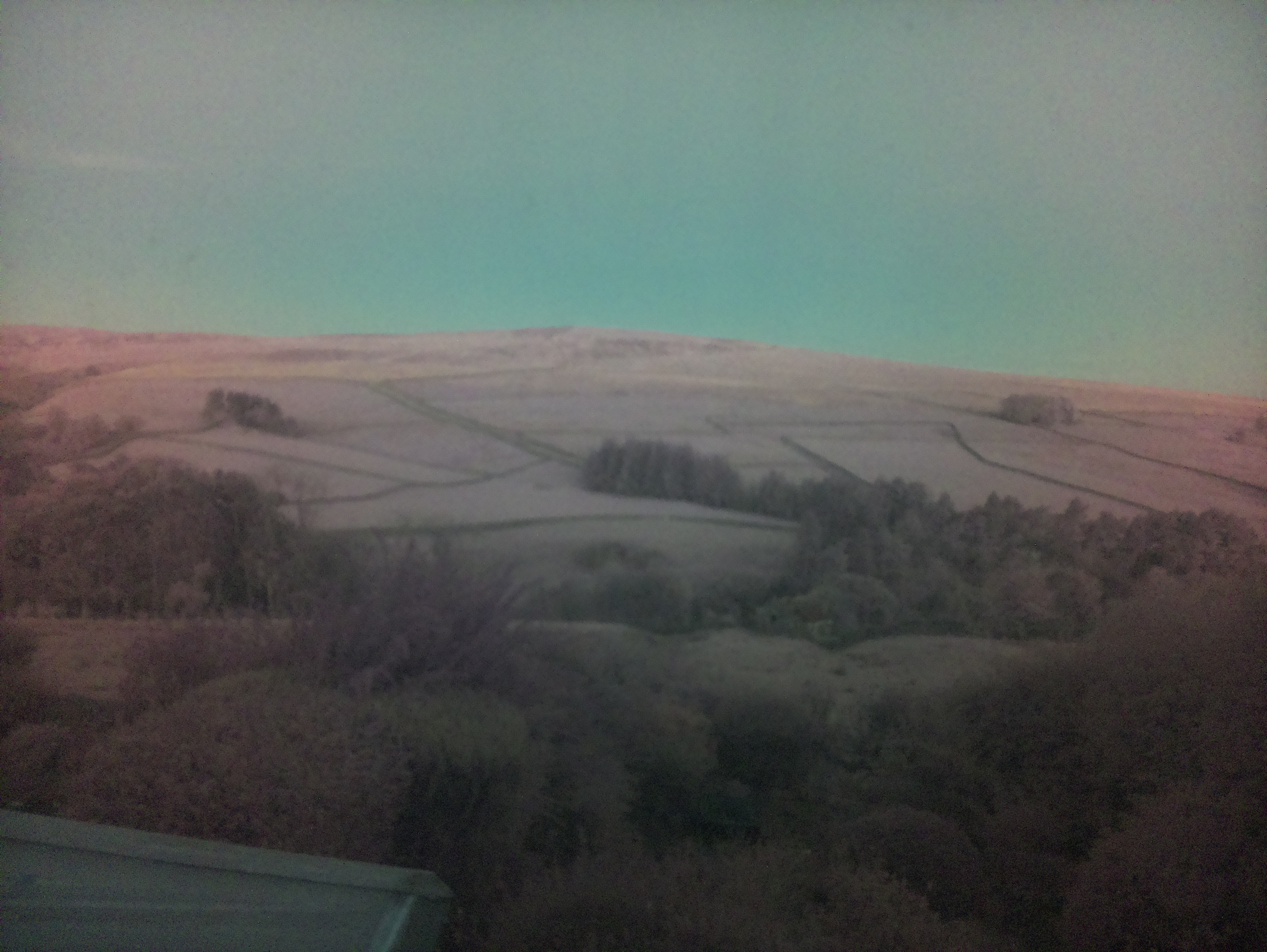 raspi webcam photo