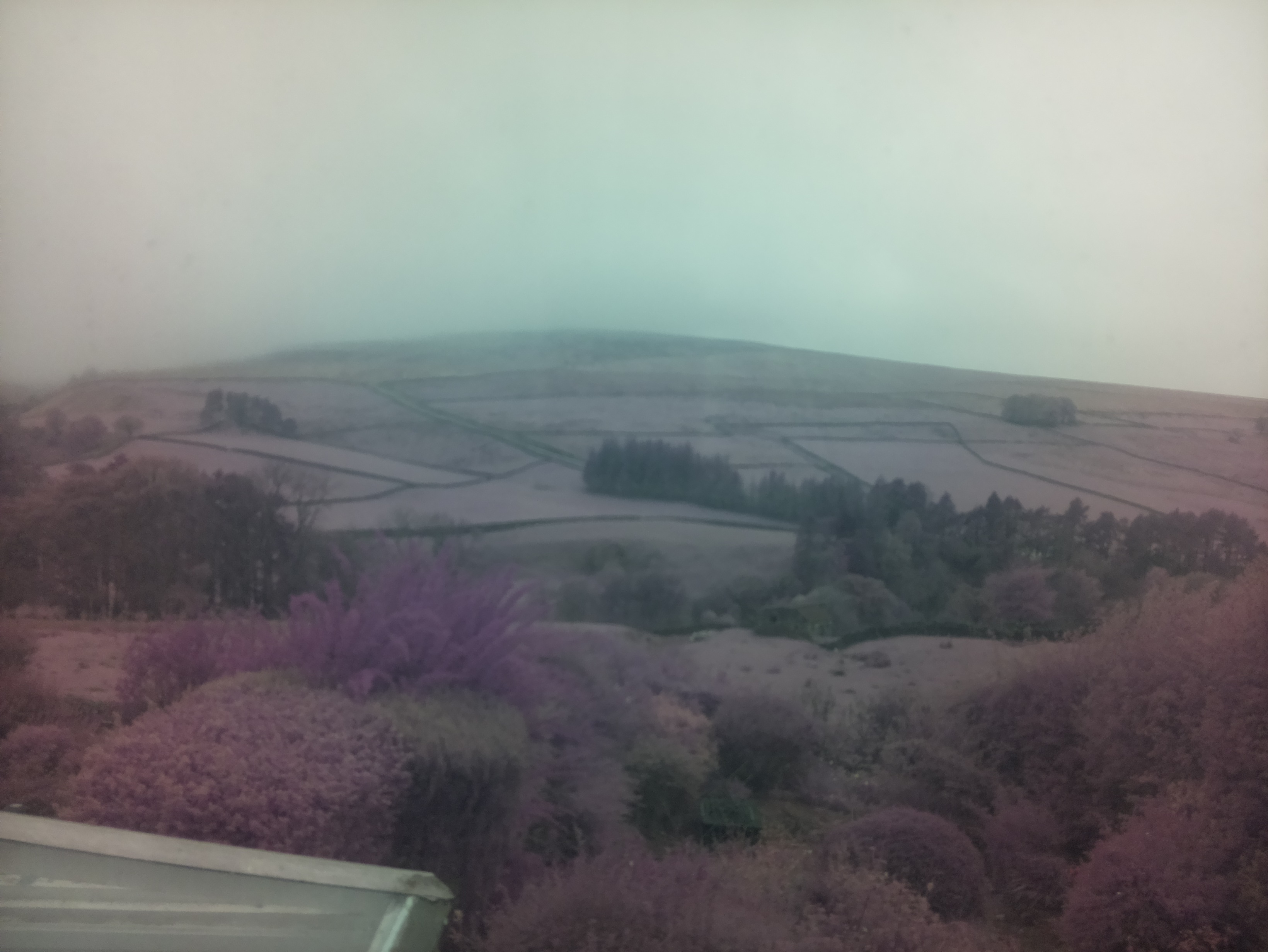 raspi webcam photo