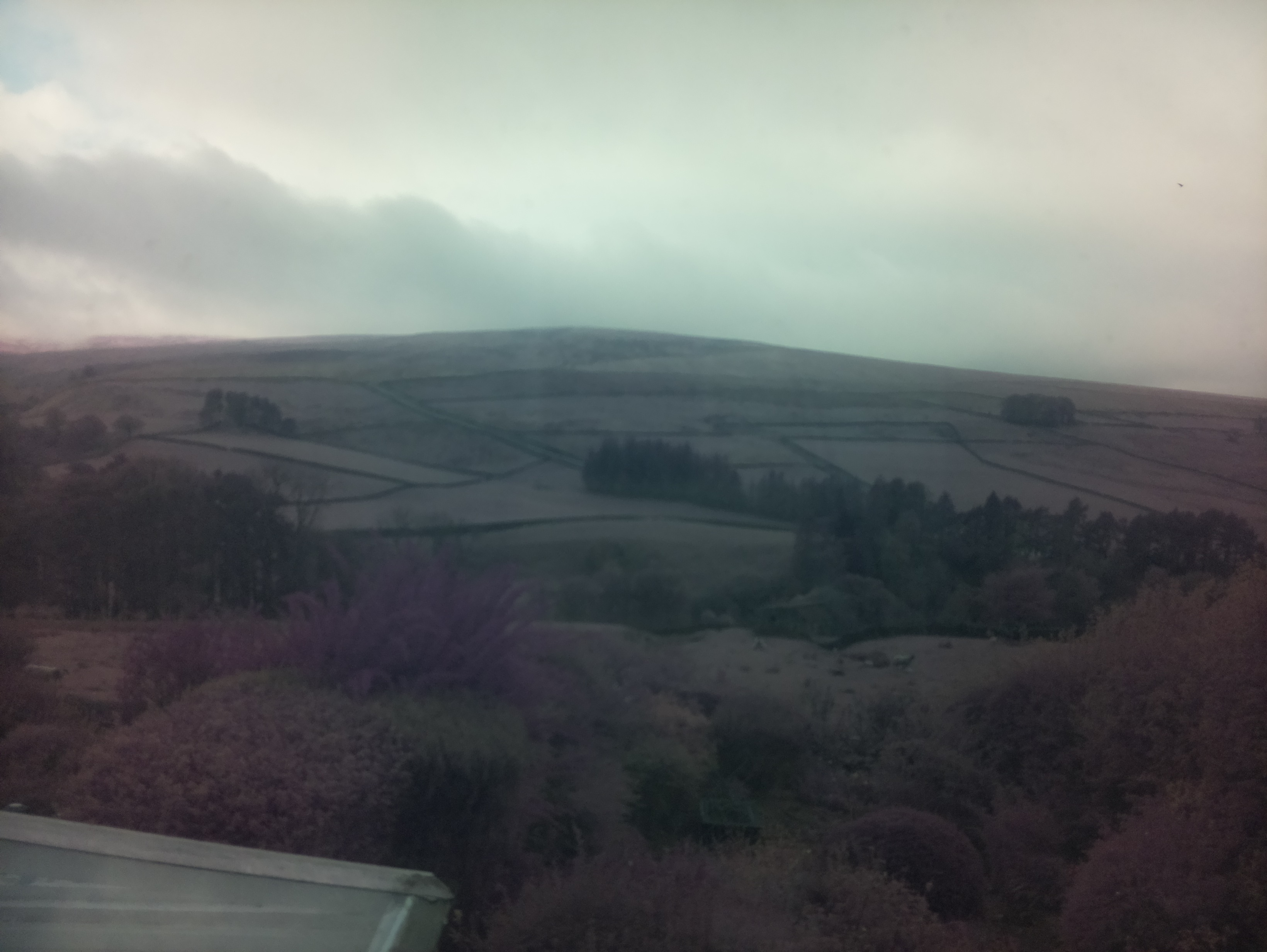 raspi webcam photo
