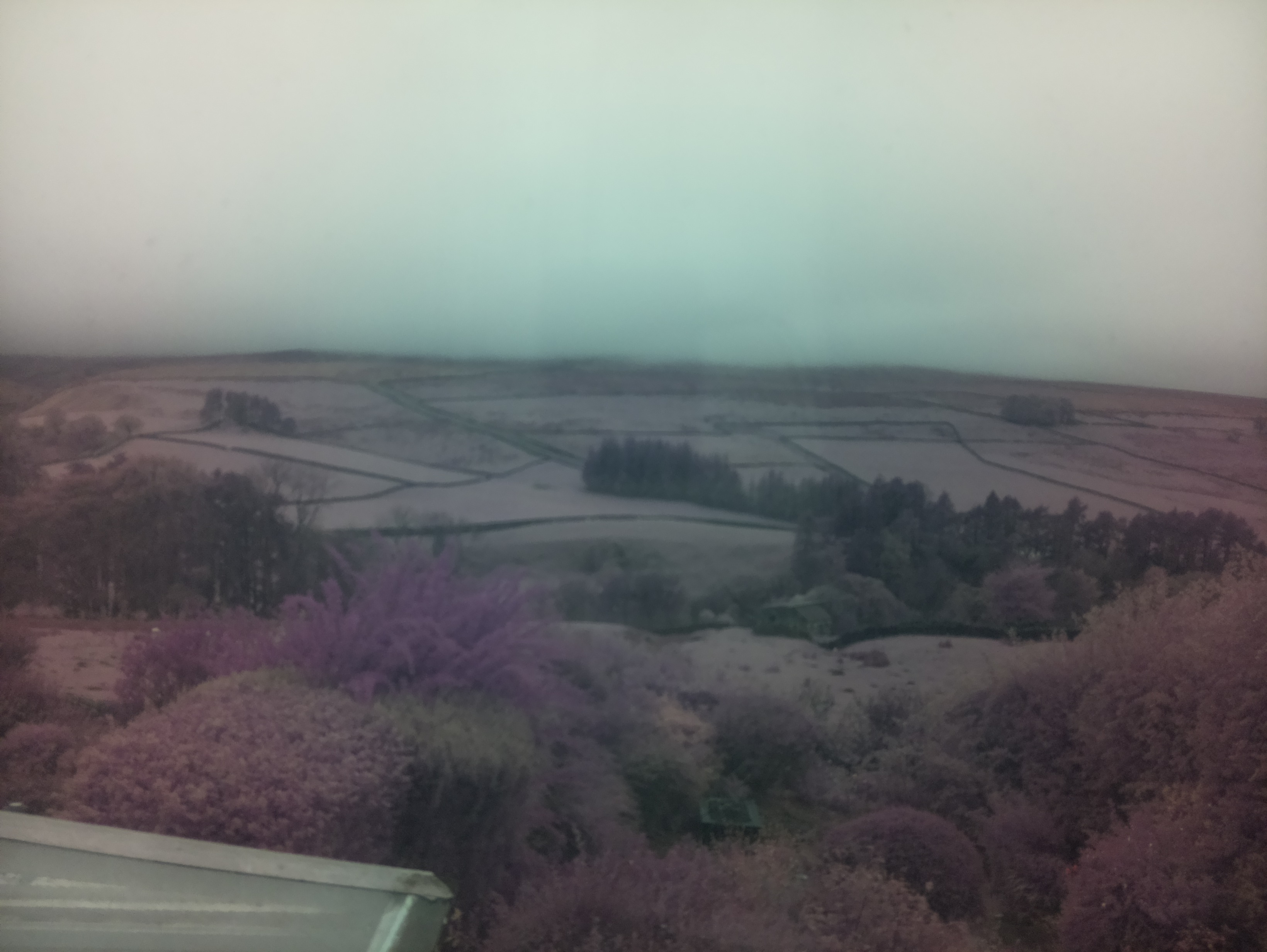 raspi webcam photo