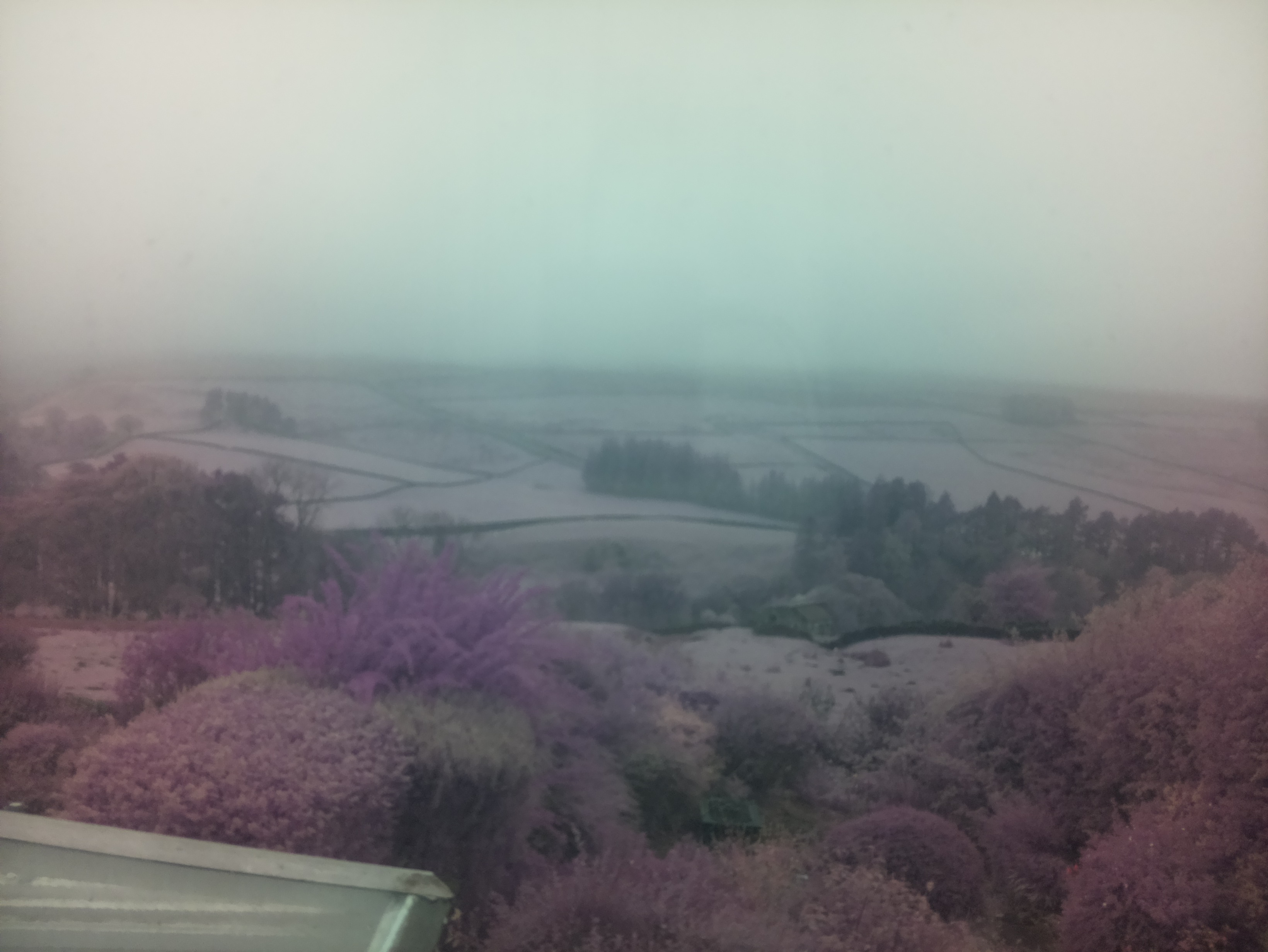 raspi webcam photo