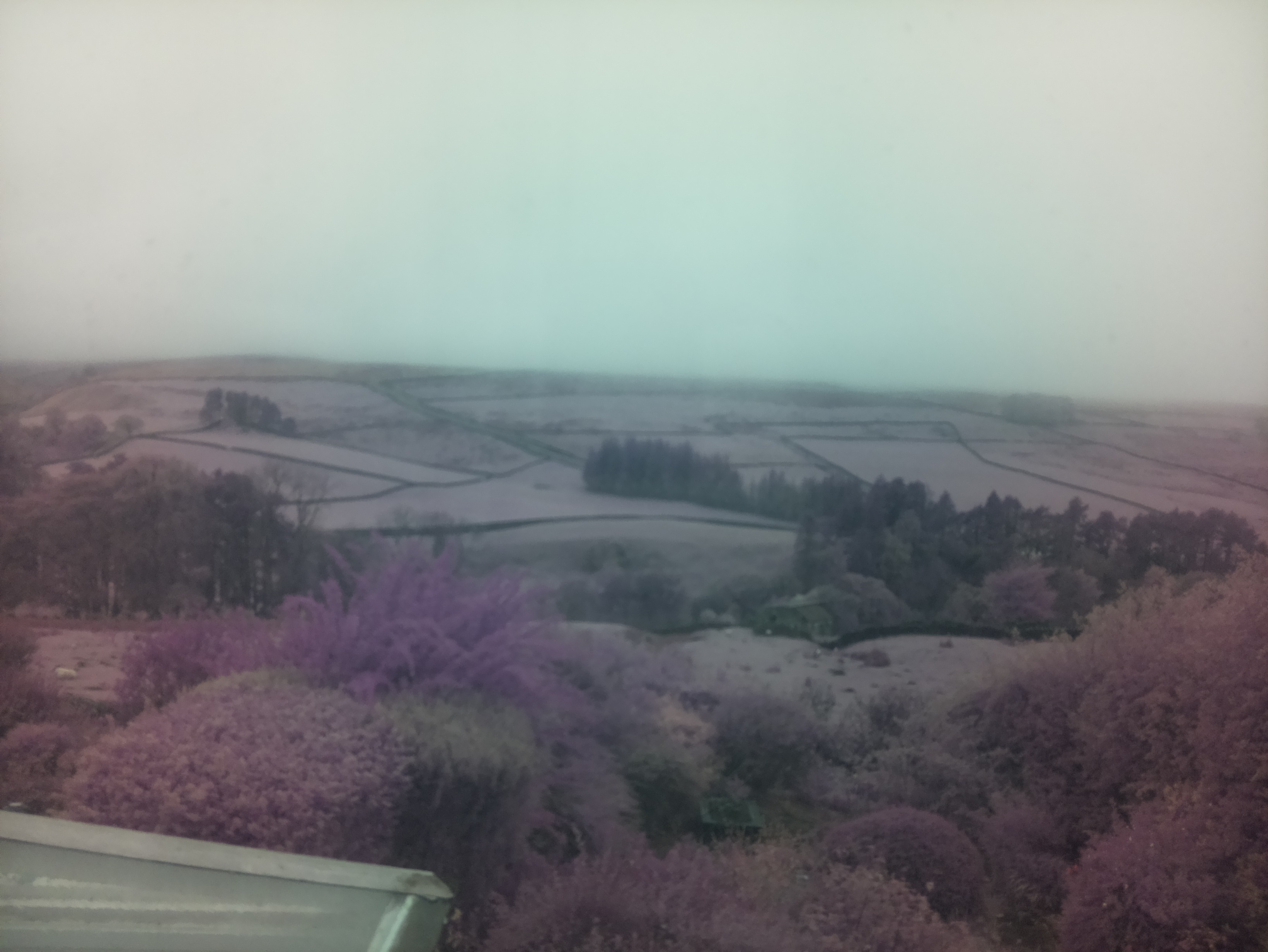 raspi webcam photo