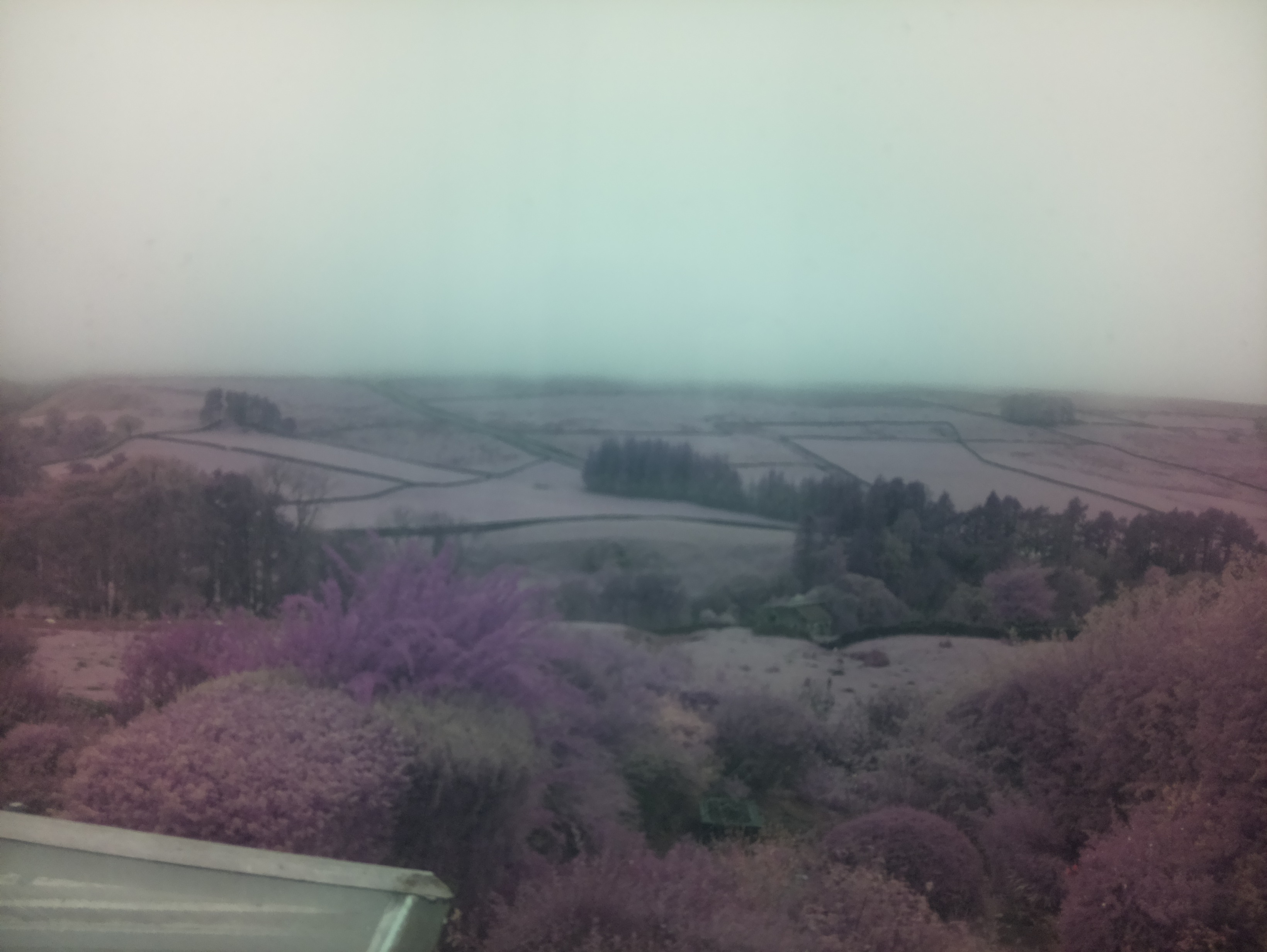 raspi webcam photo