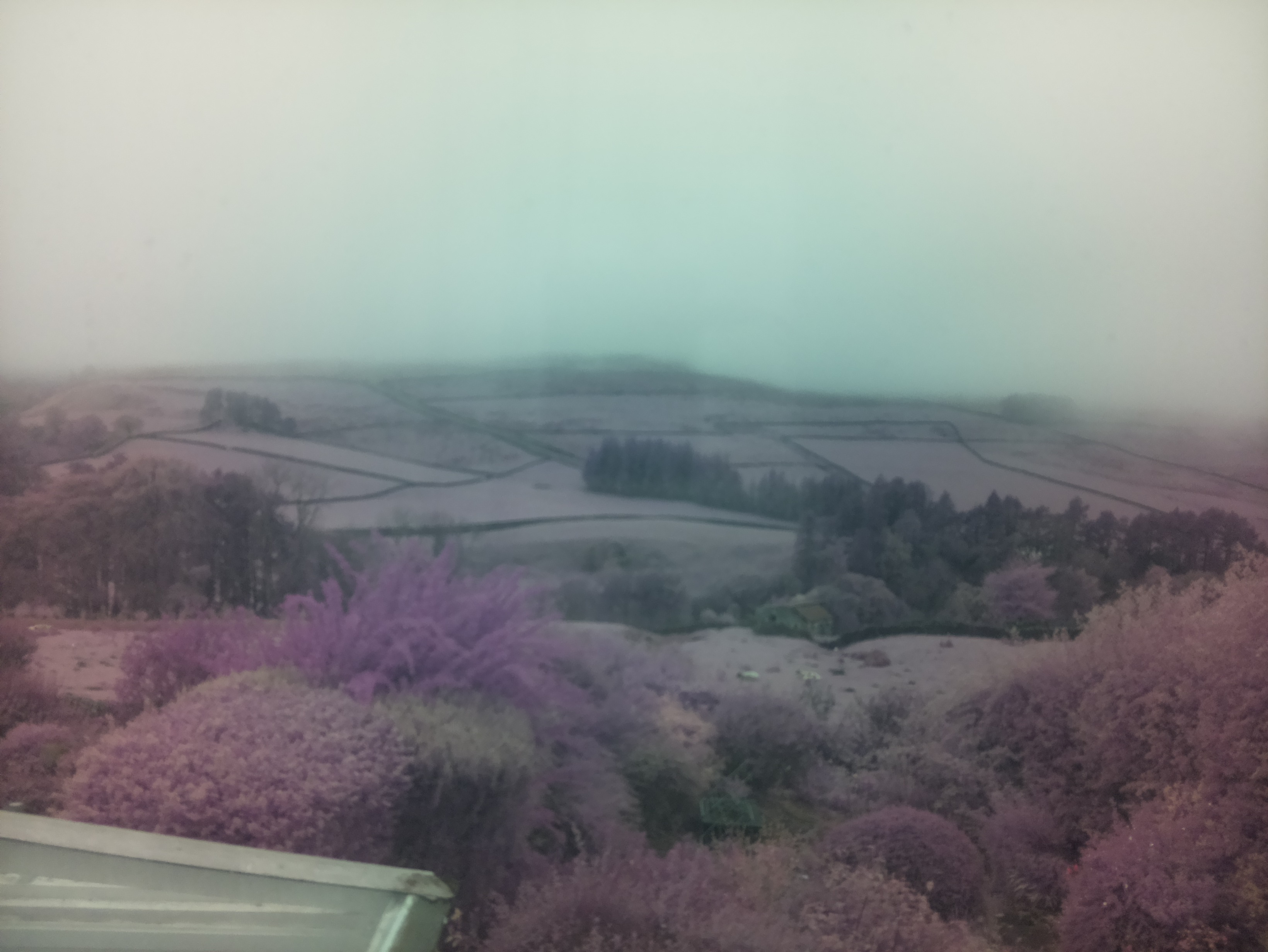 raspi webcam photo