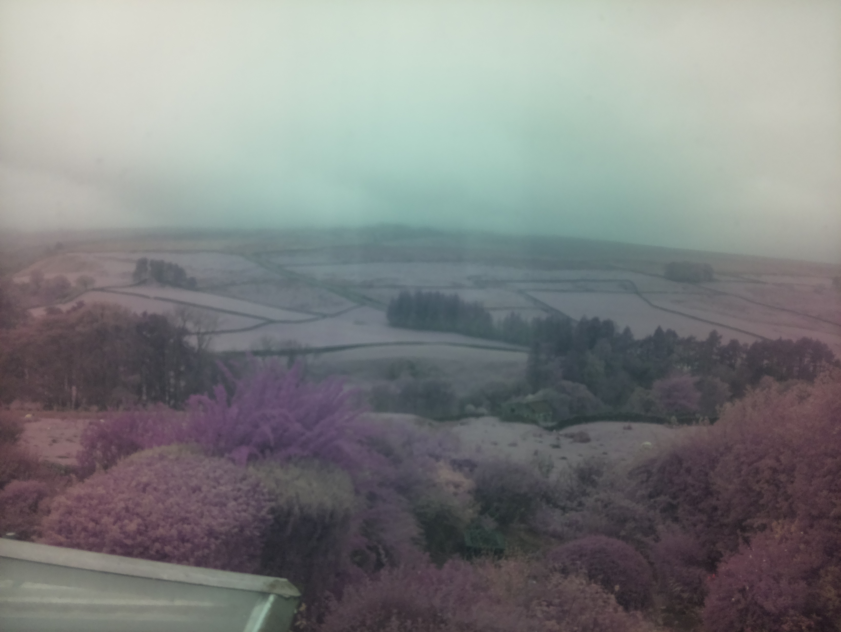 raspi webcam photo