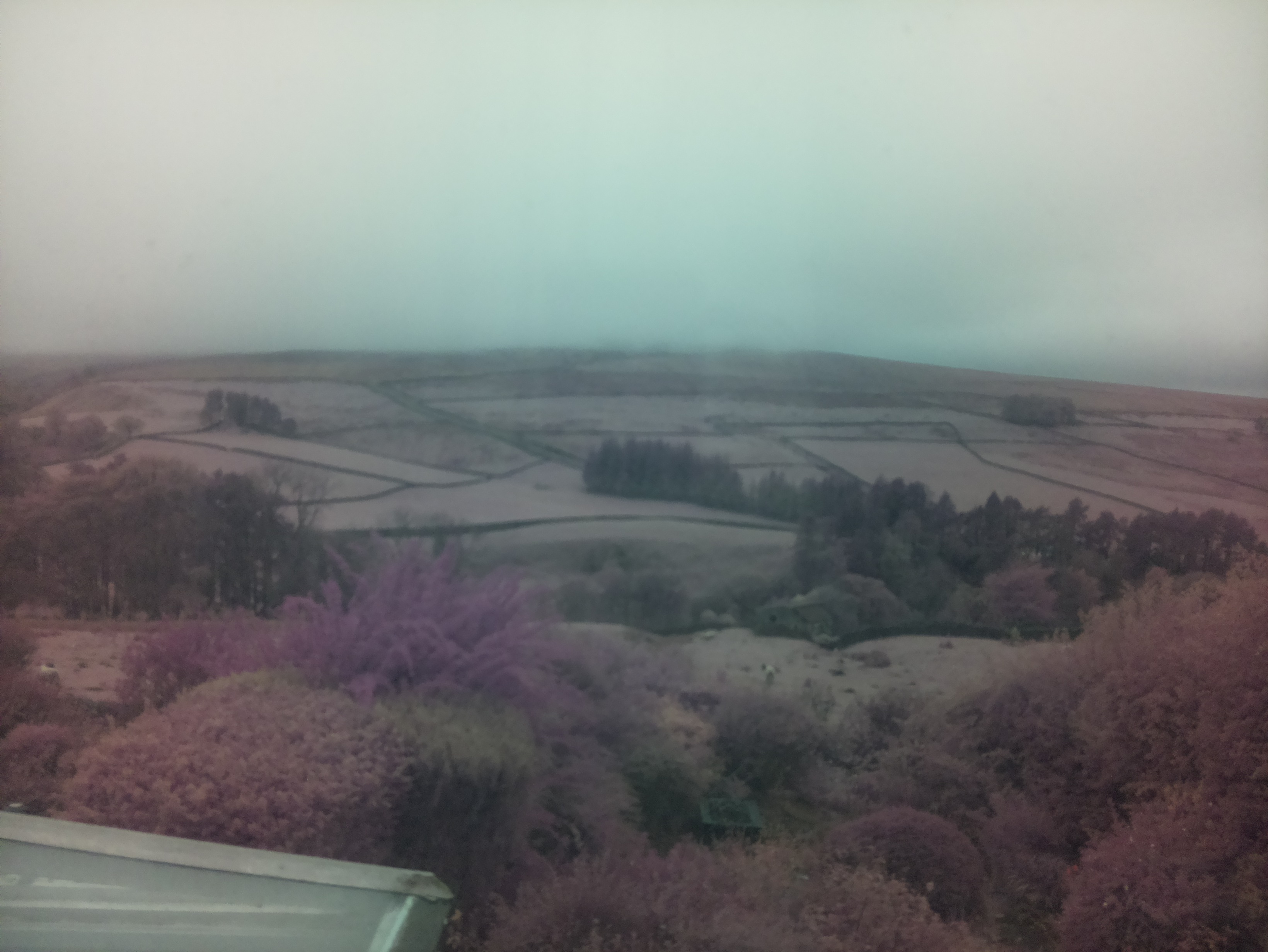 raspi webcam photo