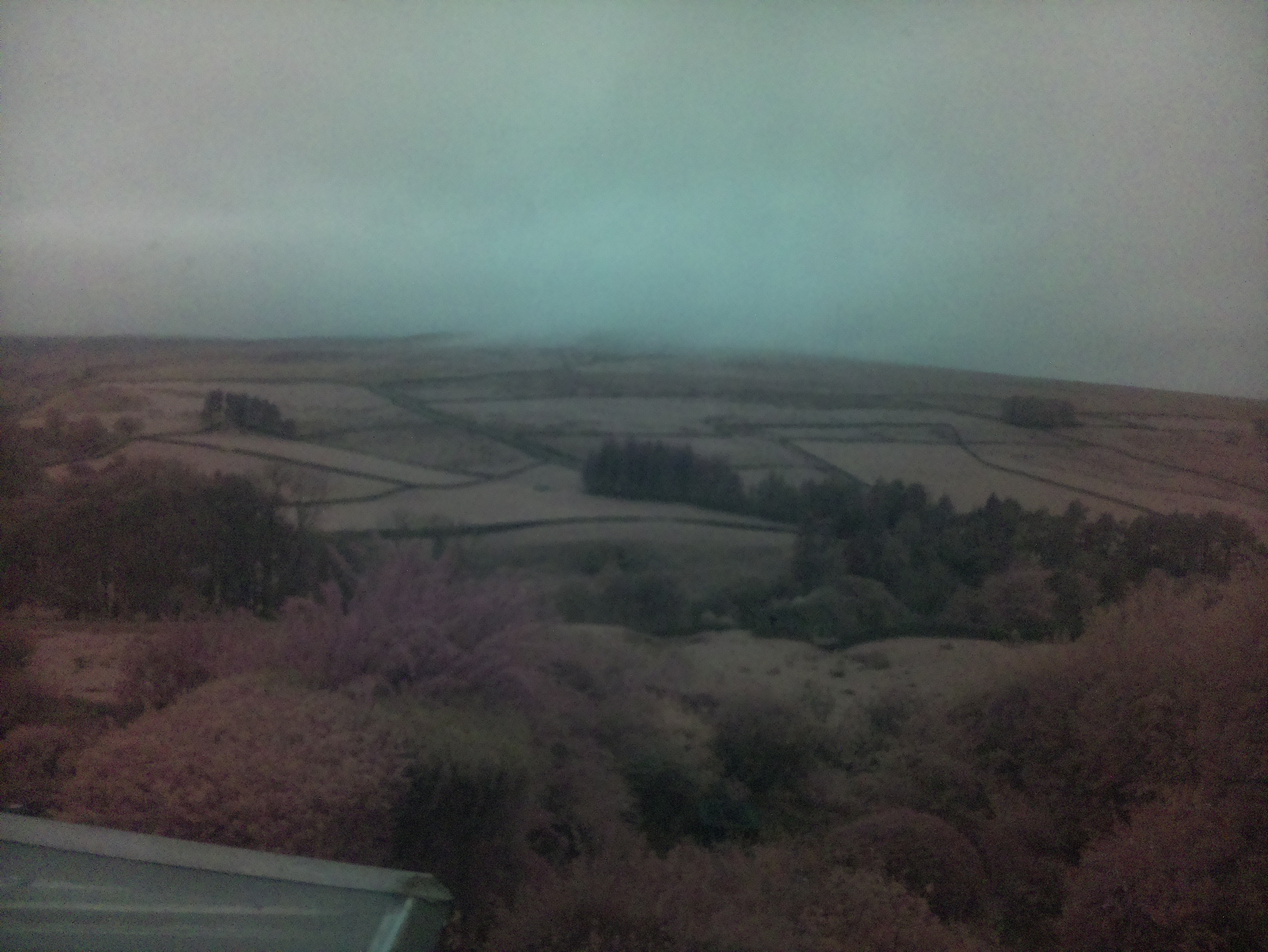 raspi webcam photo