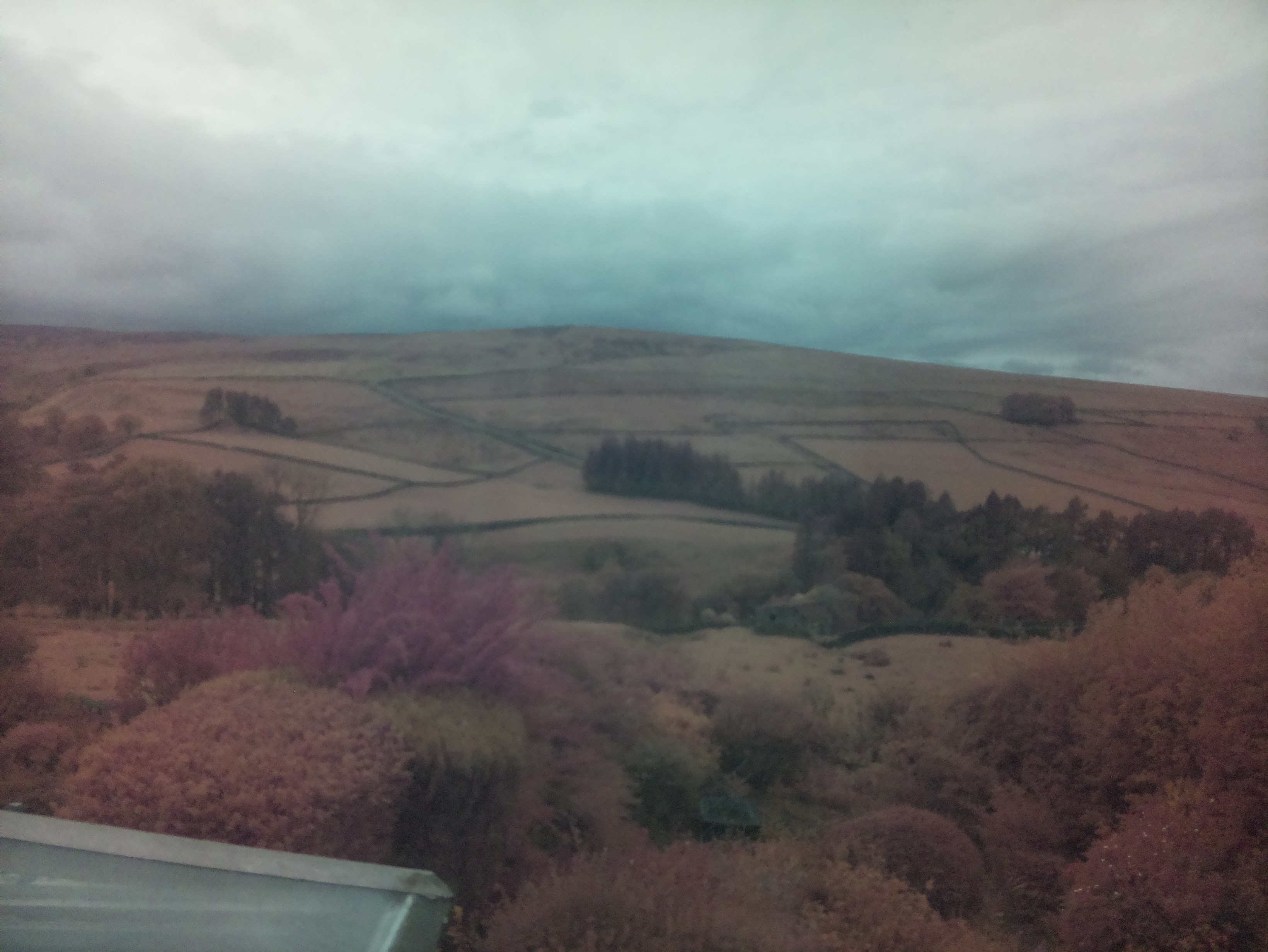 raspi webcam photo