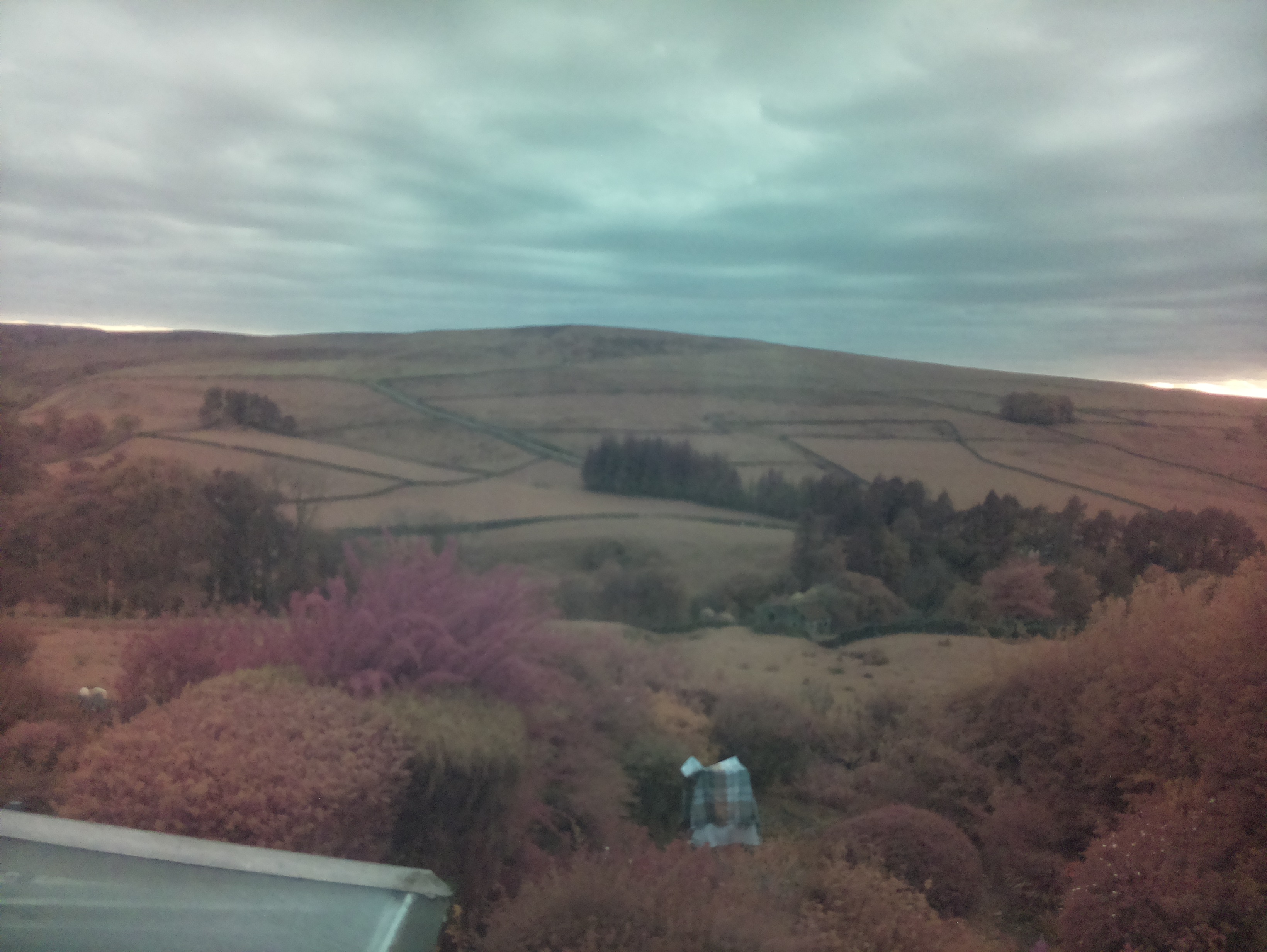 raspi webcam photo