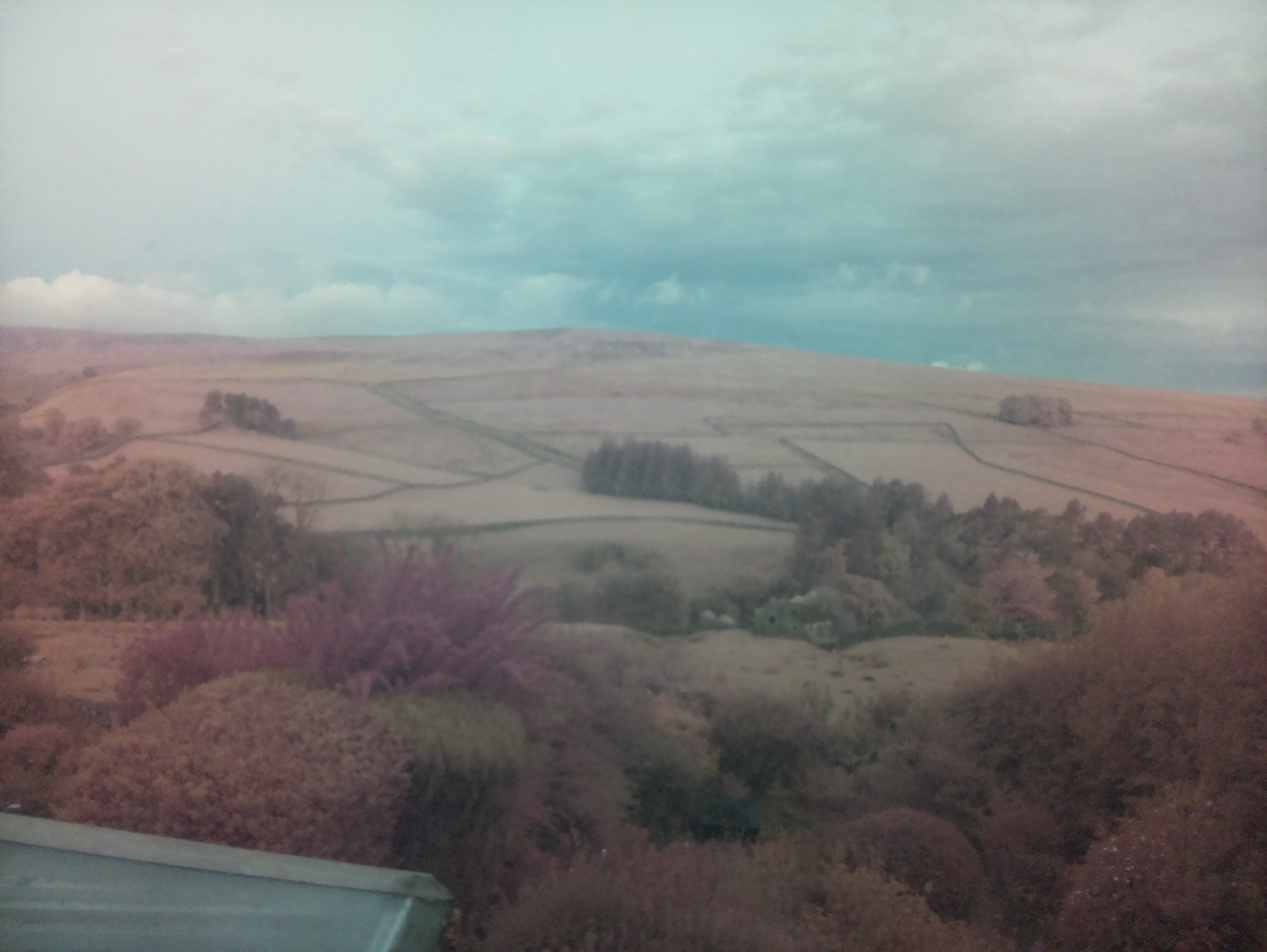 raspi webcam photo