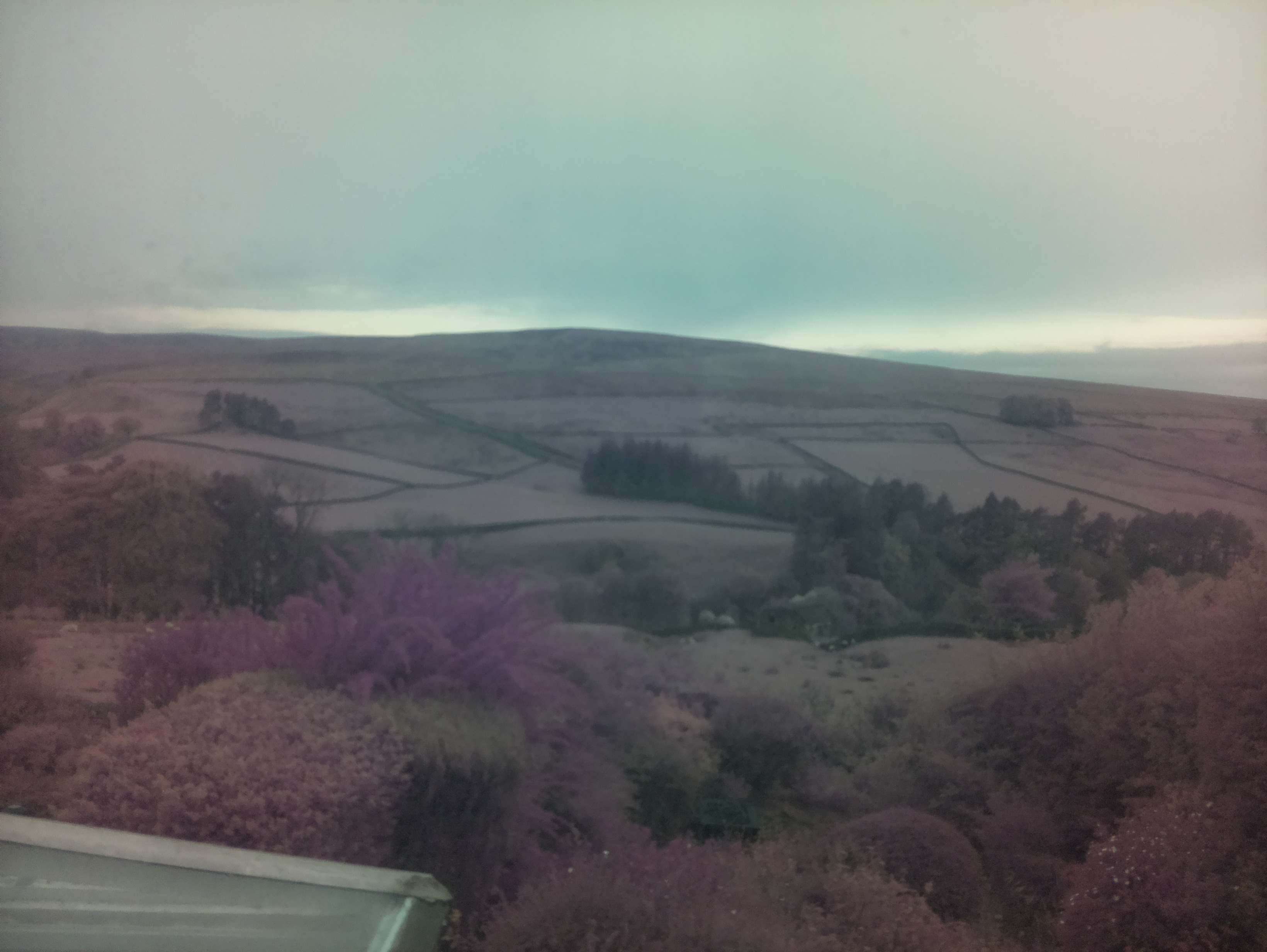 raspi webcam photo