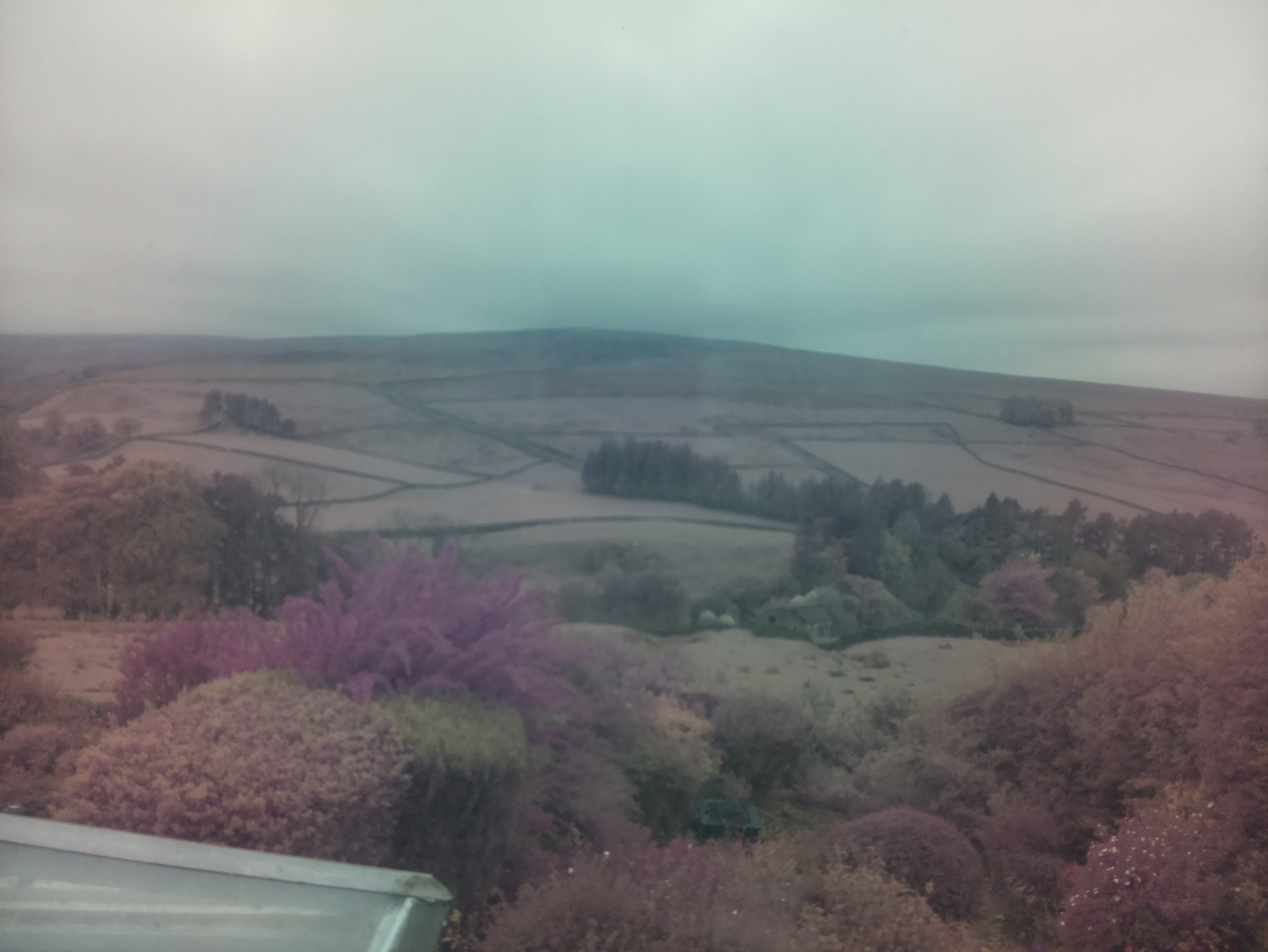raspi webcam photo