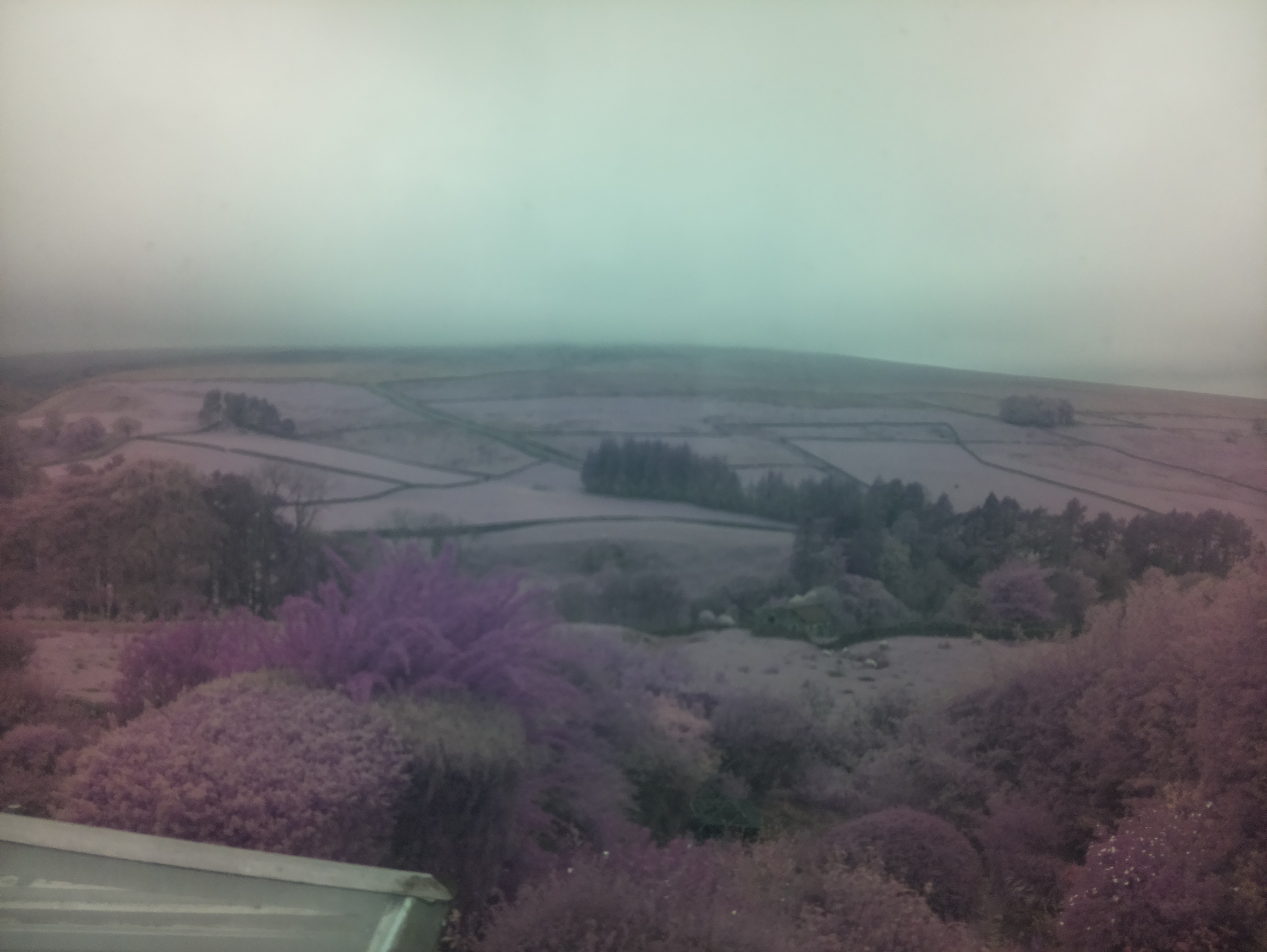 raspi webcam photo