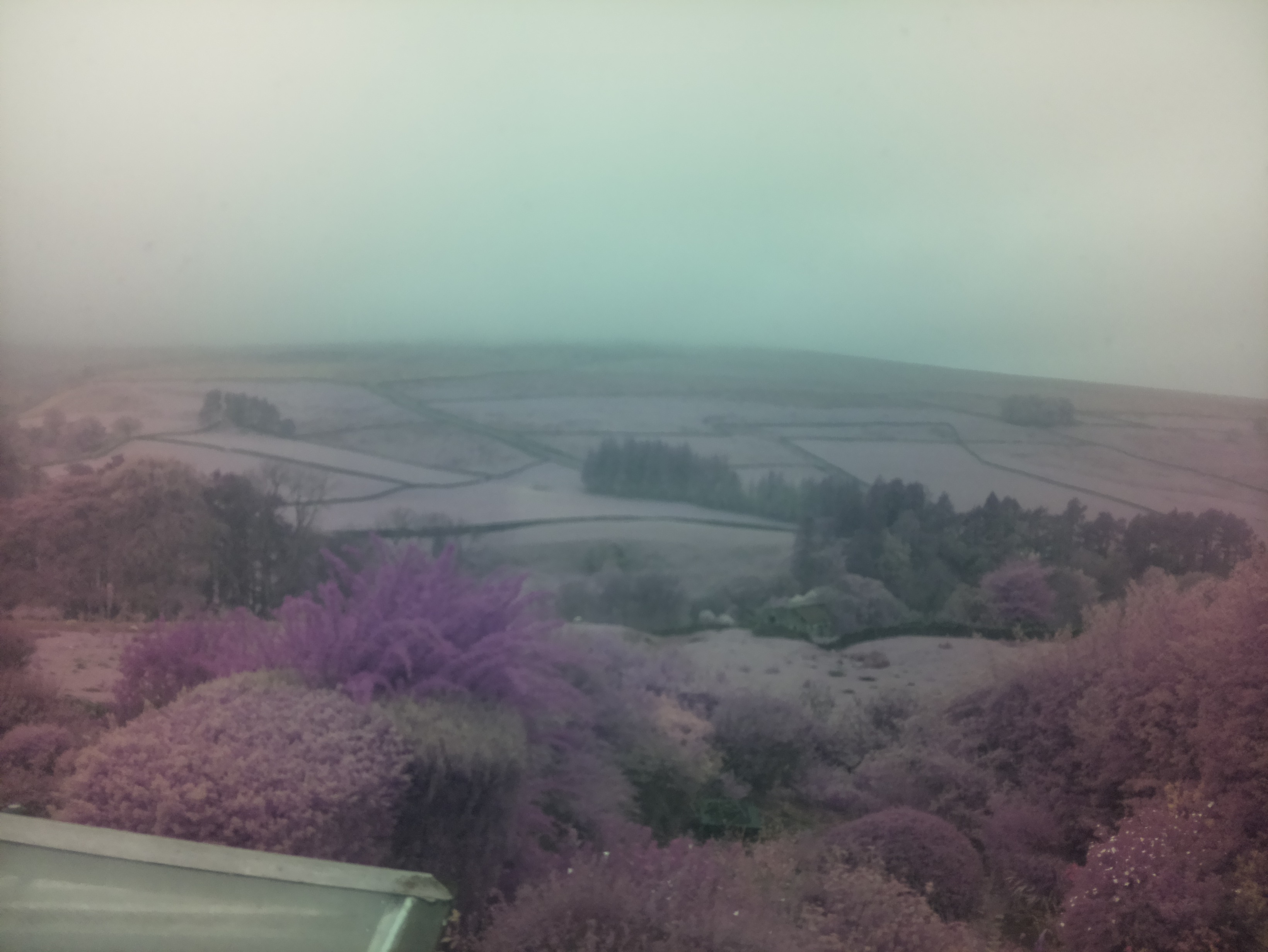 raspi webcam photo
