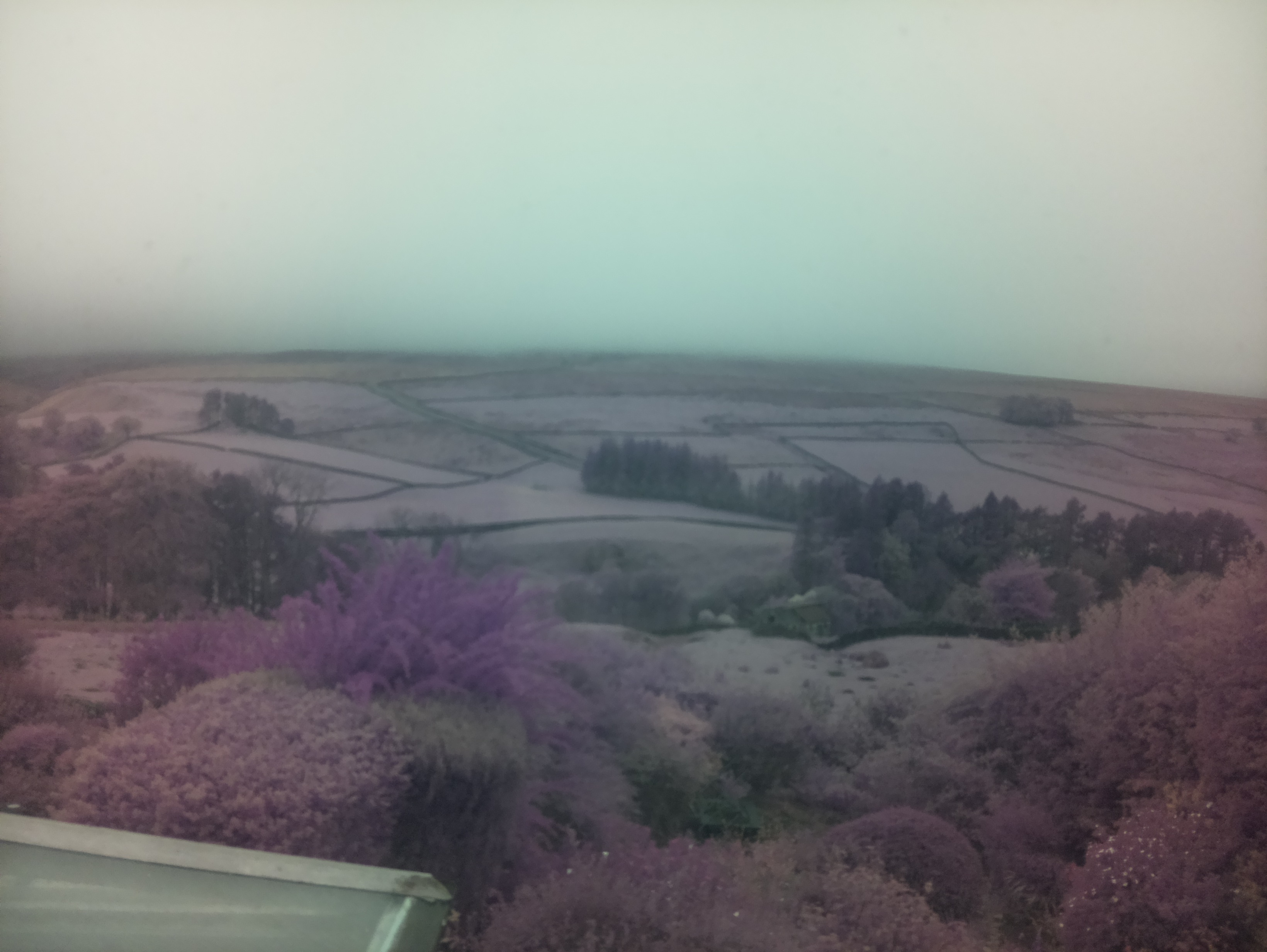 raspi webcam photo