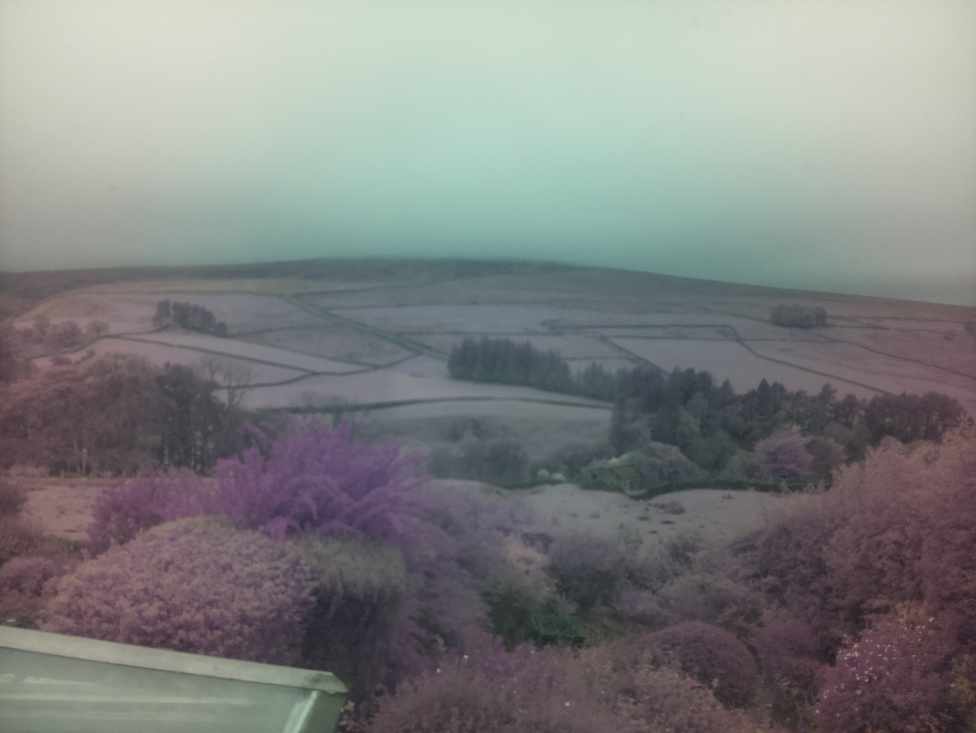 raspi webcam photo