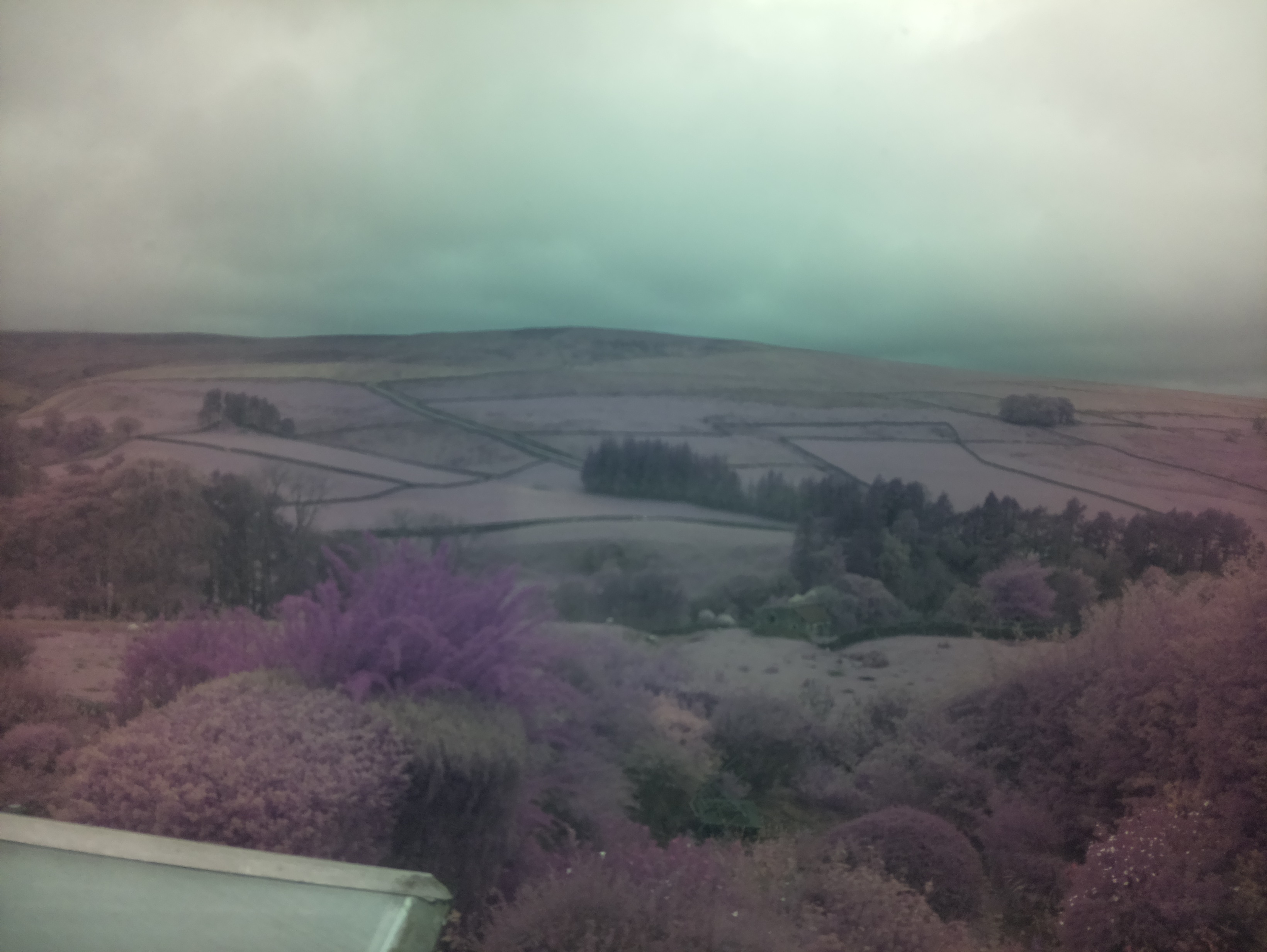 raspi webcam photo