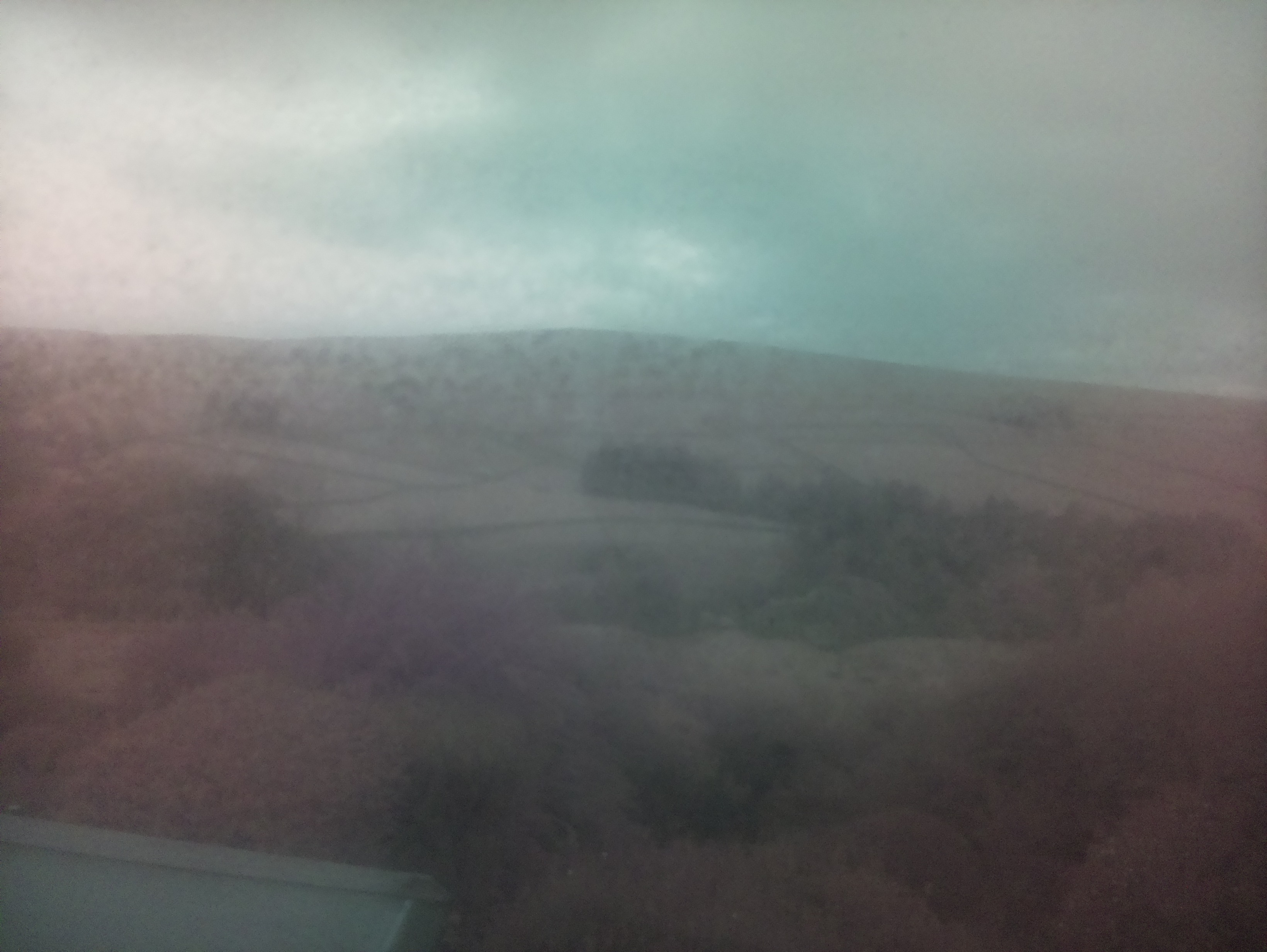 raspi webcam photo