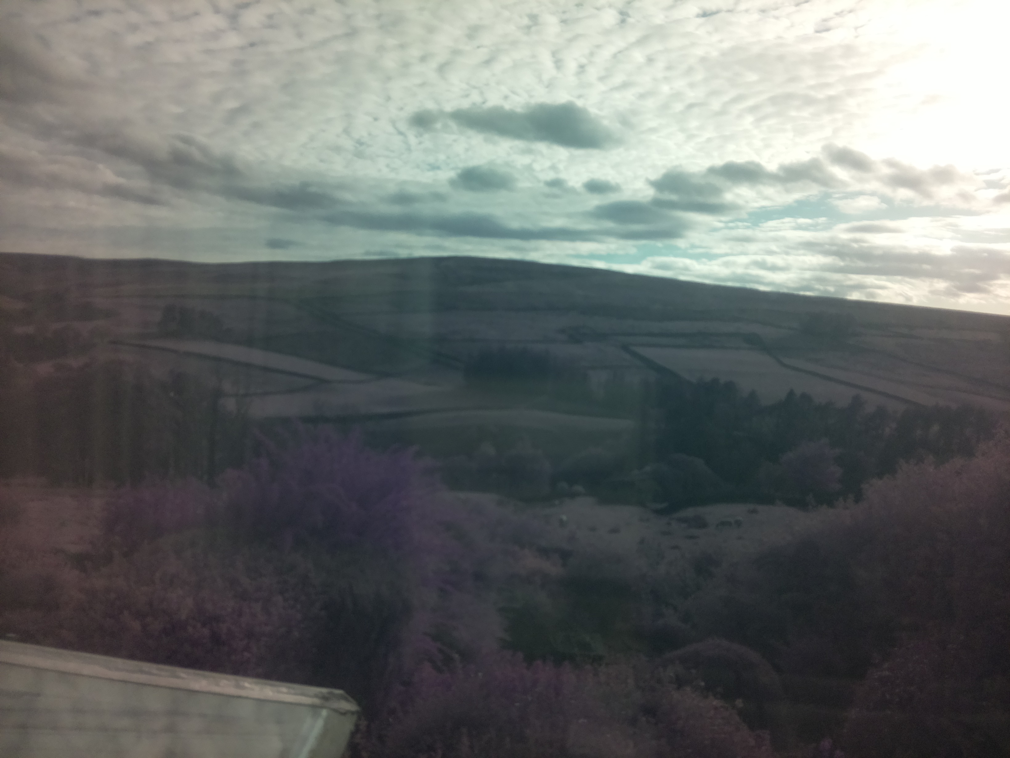 raspi webcam photo