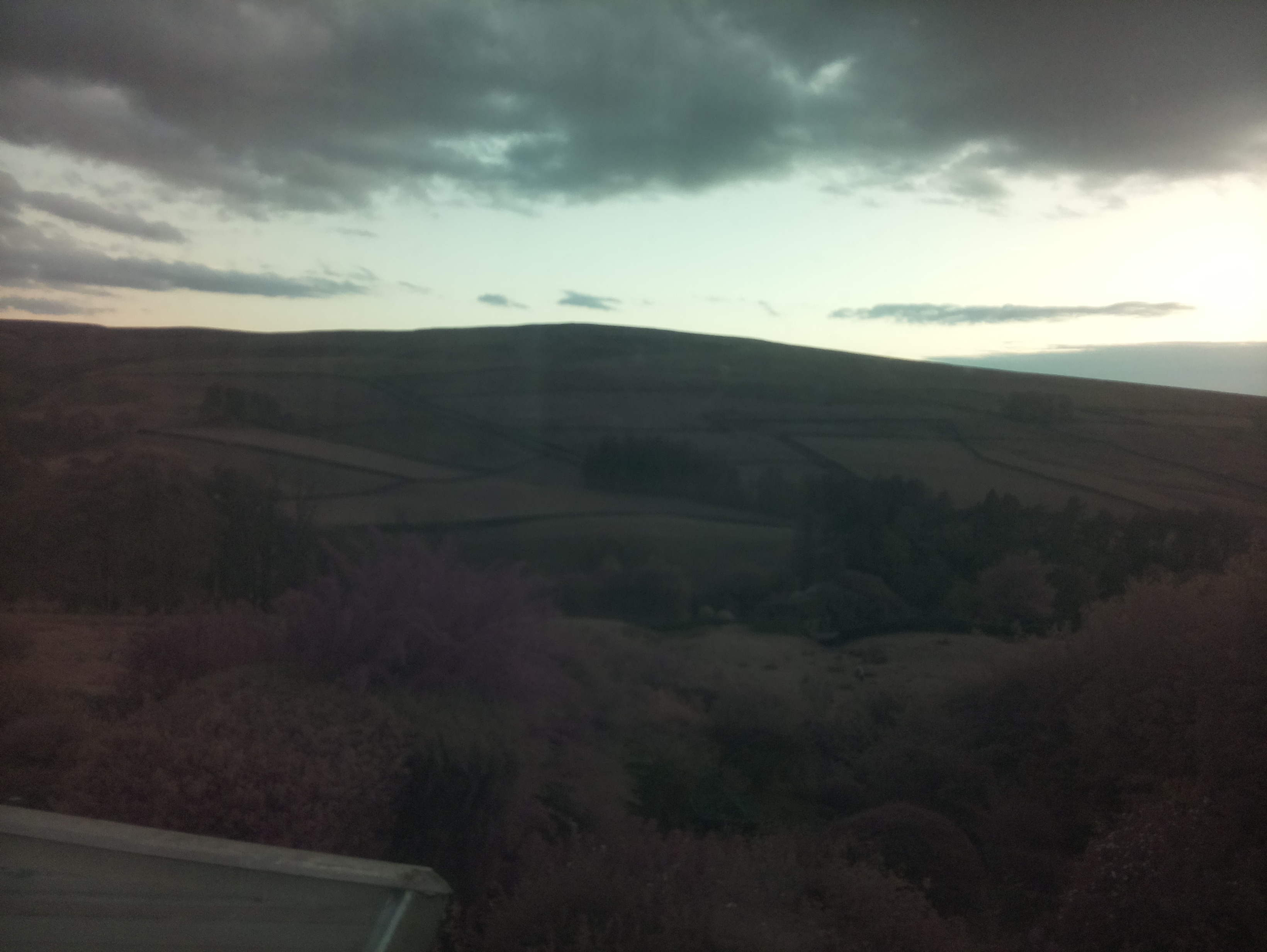 raspi webcam photo