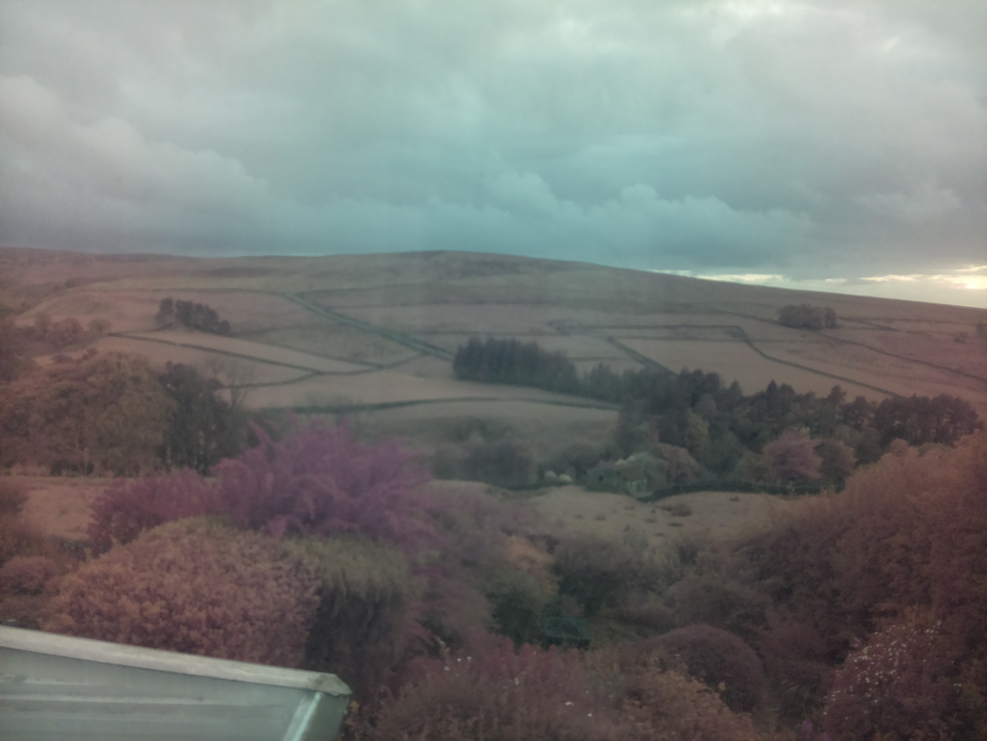 raspi webcam photo