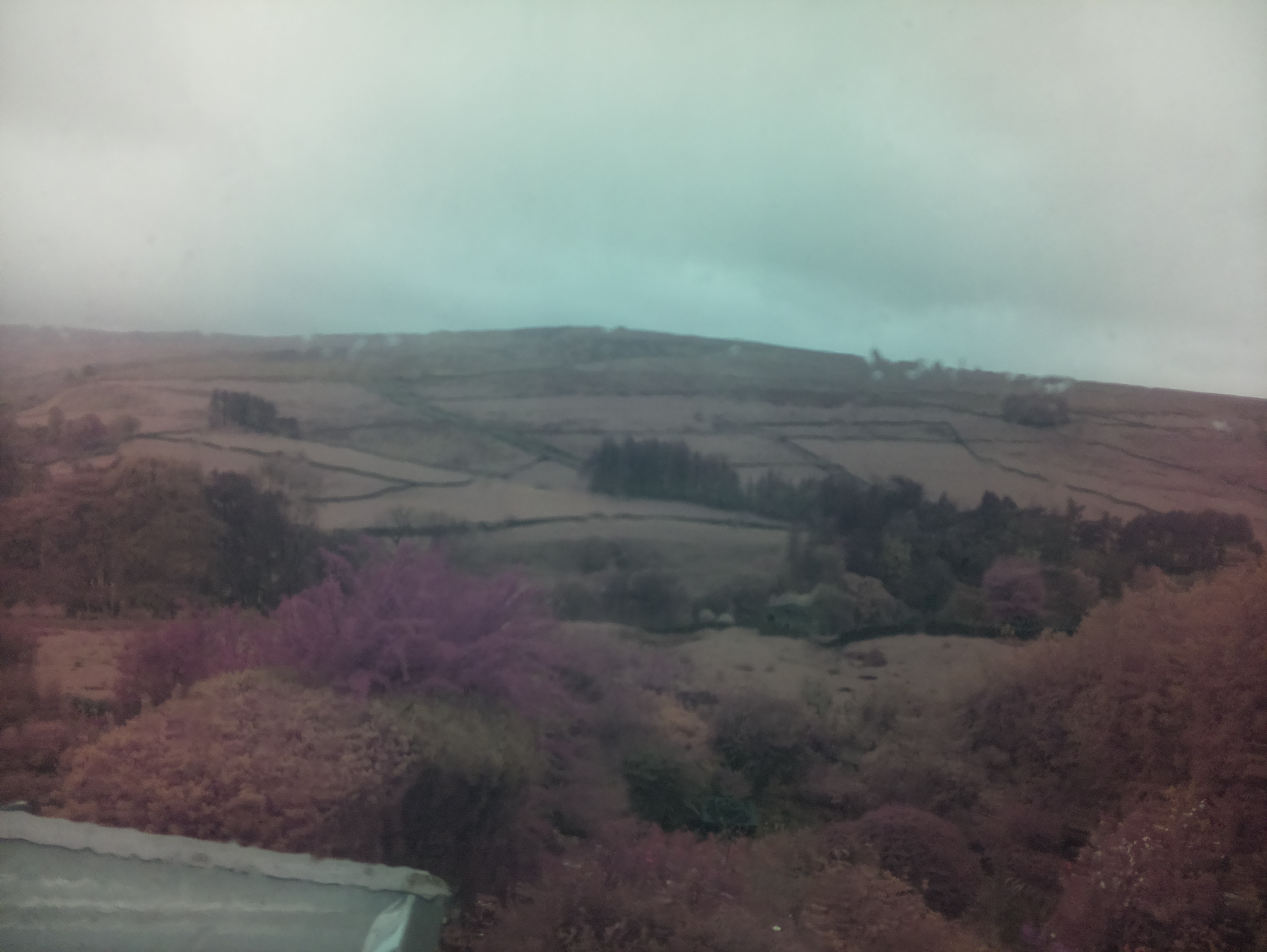 raspi webcam photo