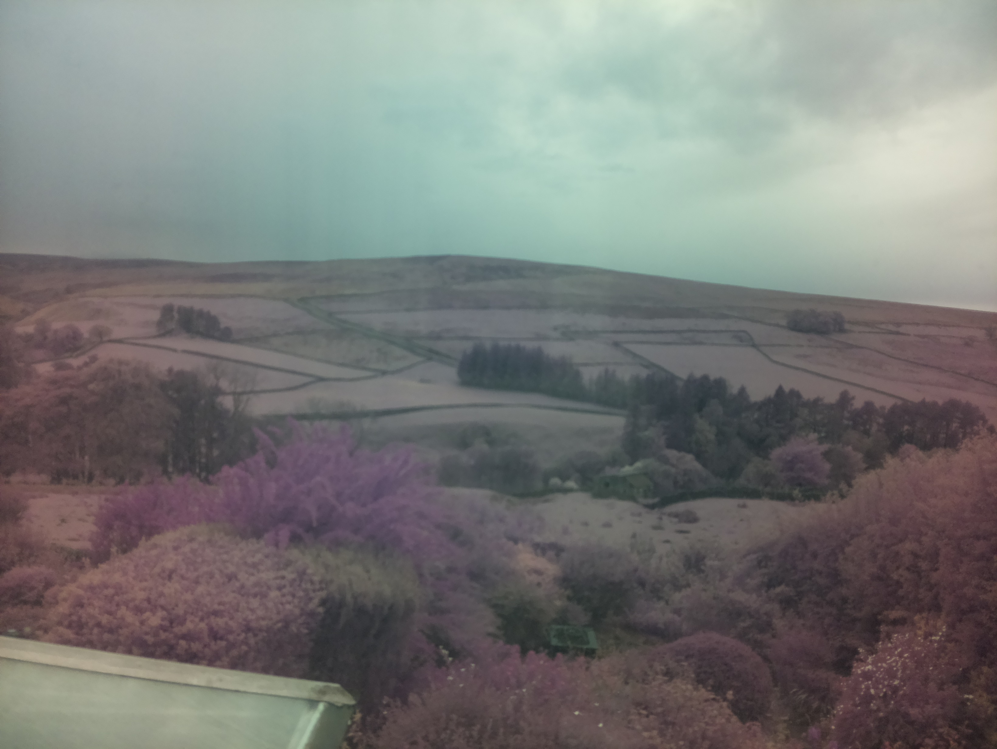 raspi webcam photo