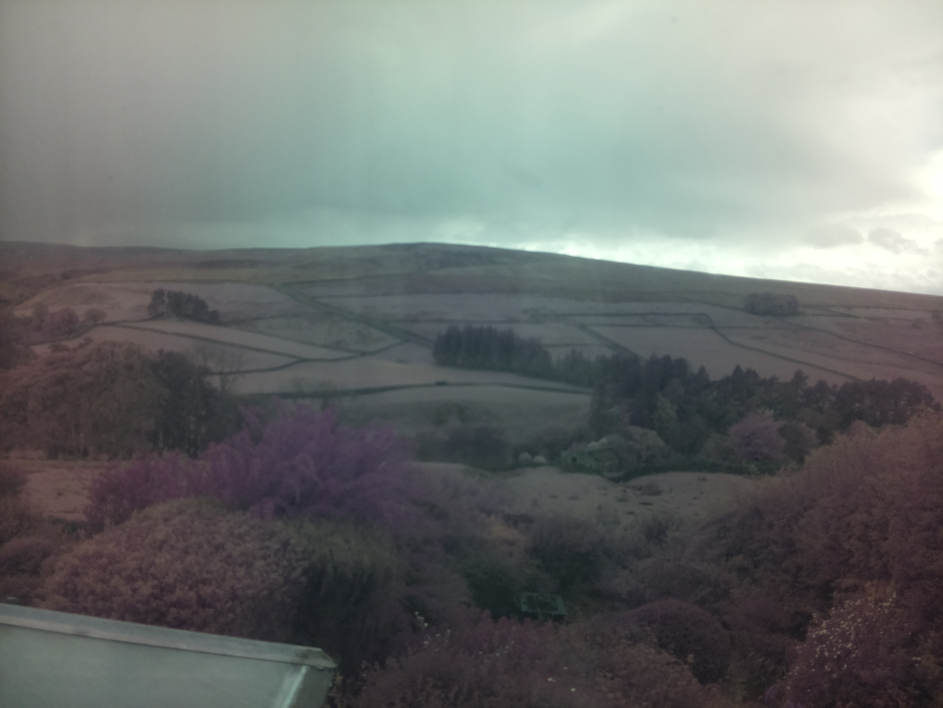 raspi webcam photo