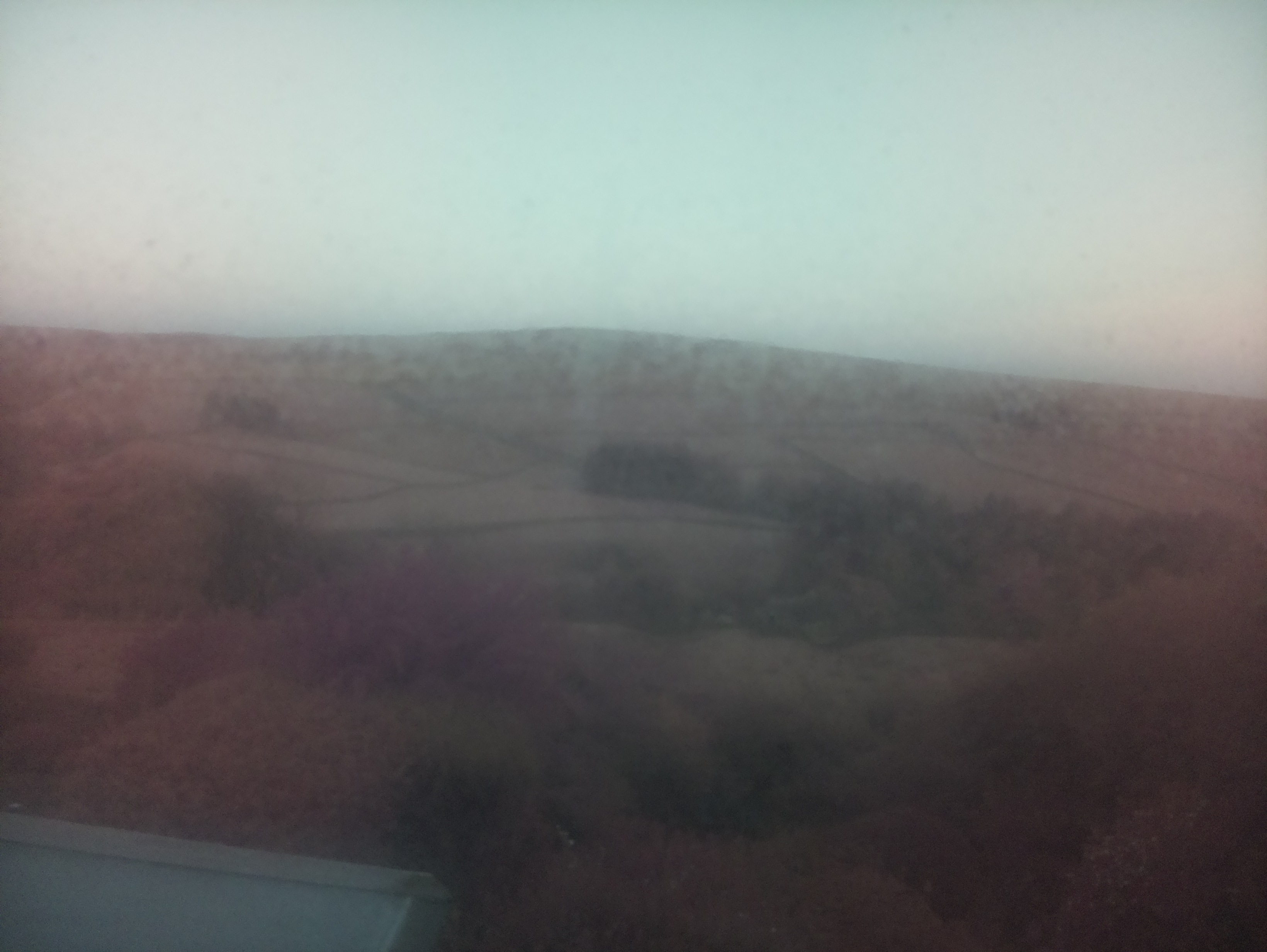 raspi webcam photo