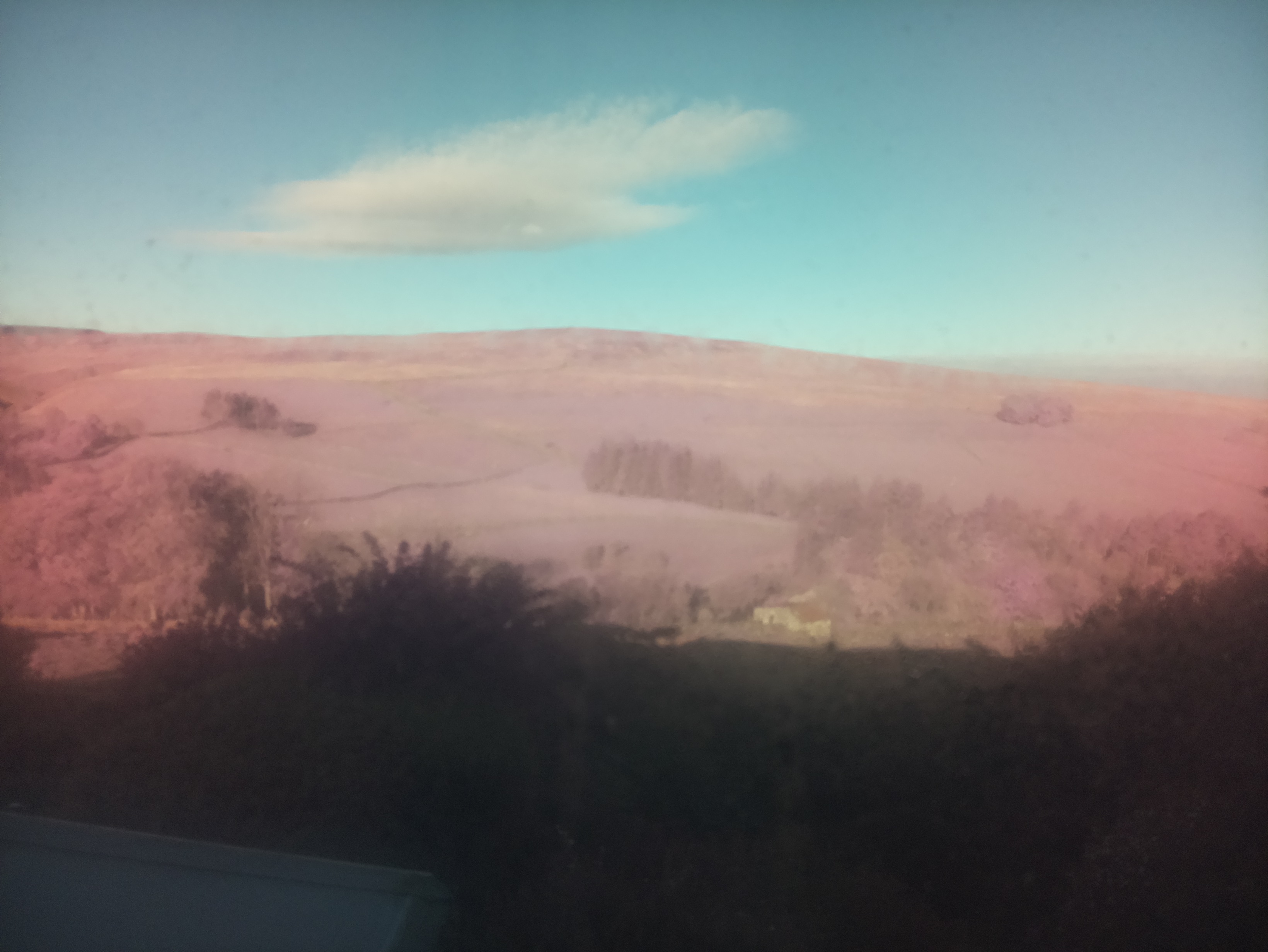 raspi webcam photo